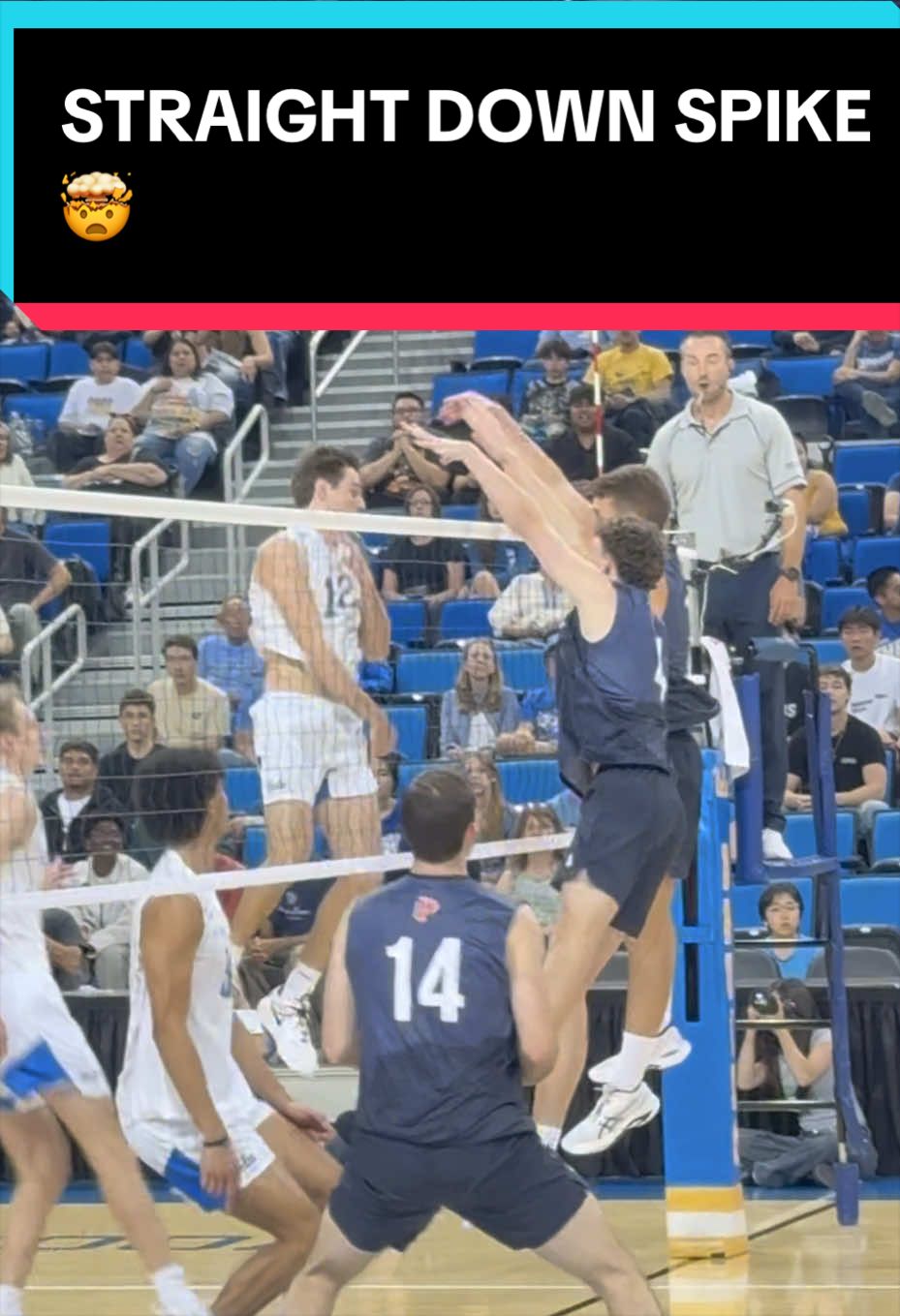 @First Seed Volleyball