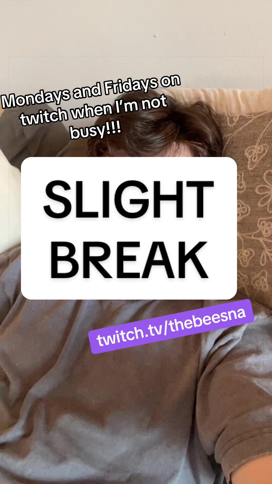 @thebeesna