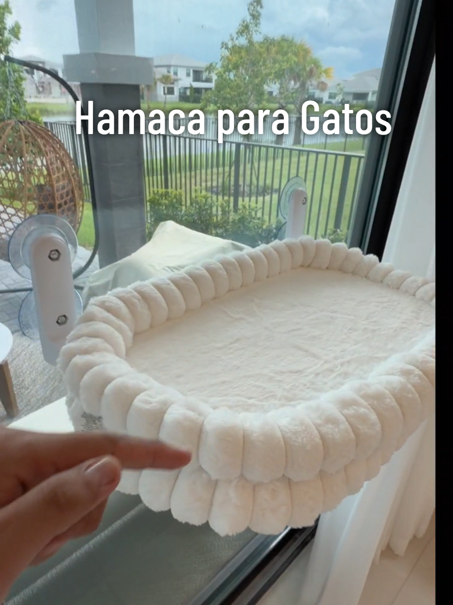 @Esteban