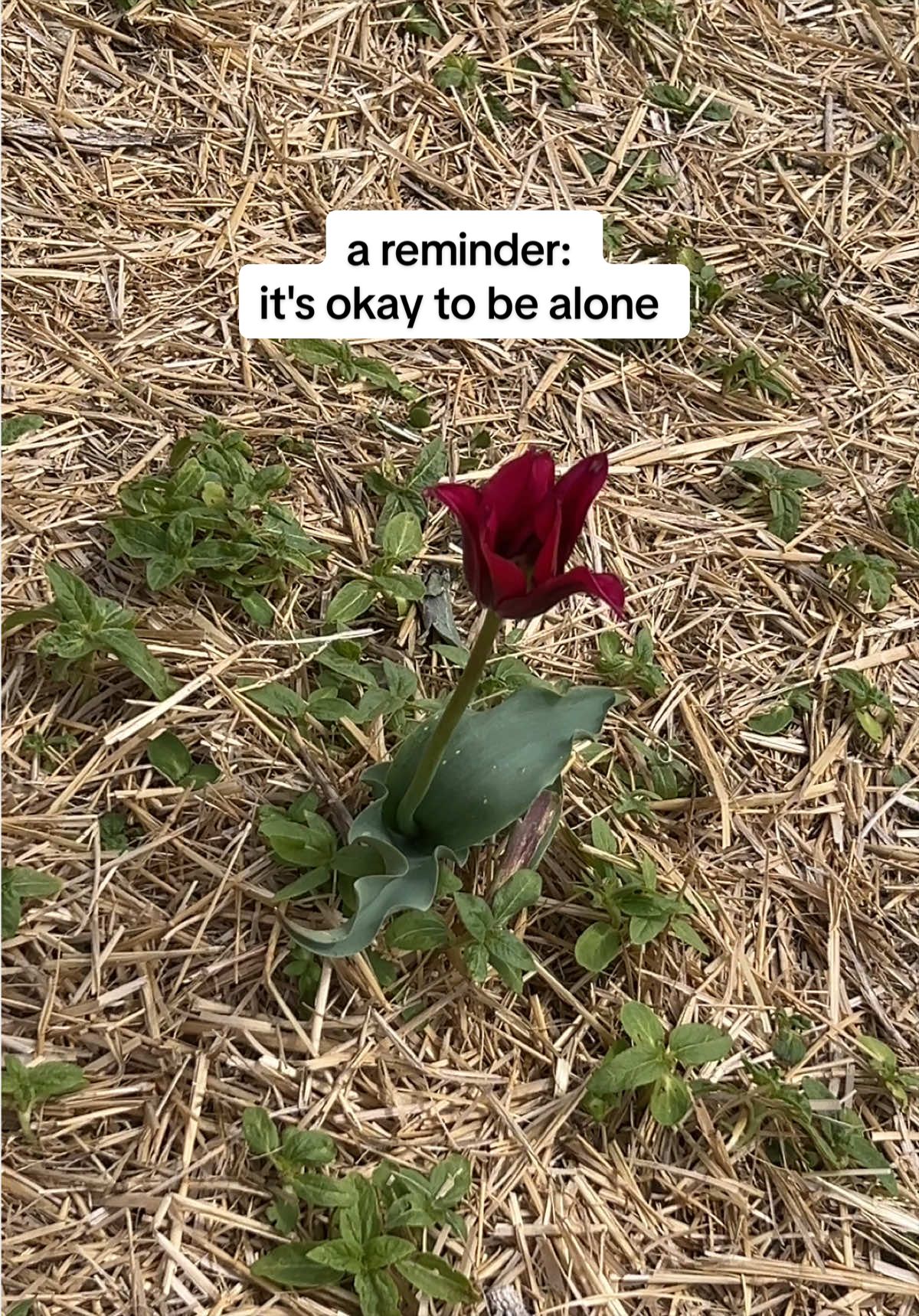 @Rhenz 🌻