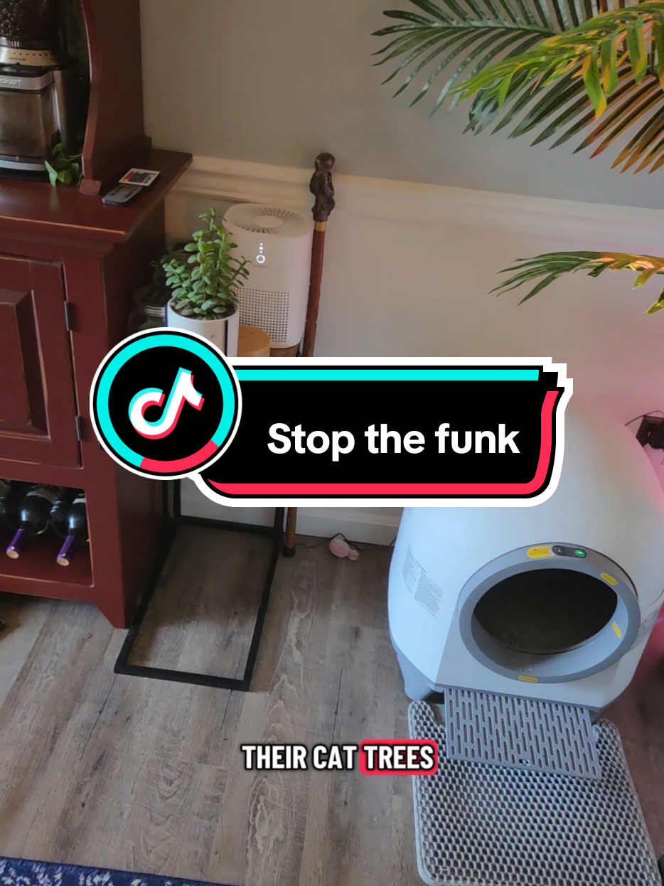 @☆꧁𝕃𝕒𝕦𝕣𝕒꧂☆