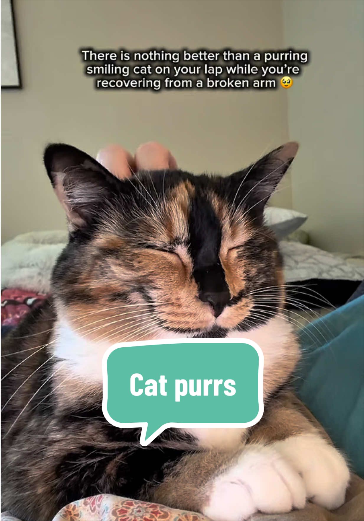 @SnickersTheSmilingCat