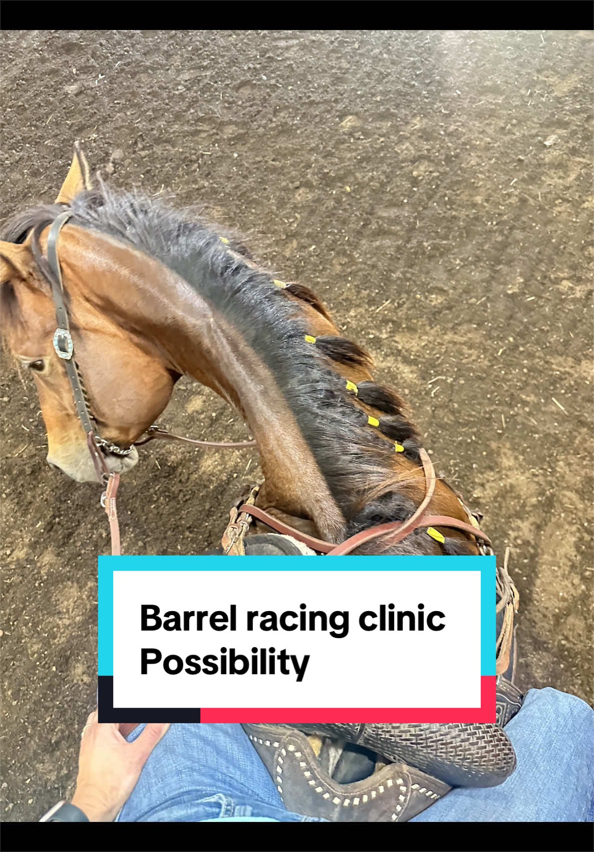 @SAMANTHA | BARREL RACING