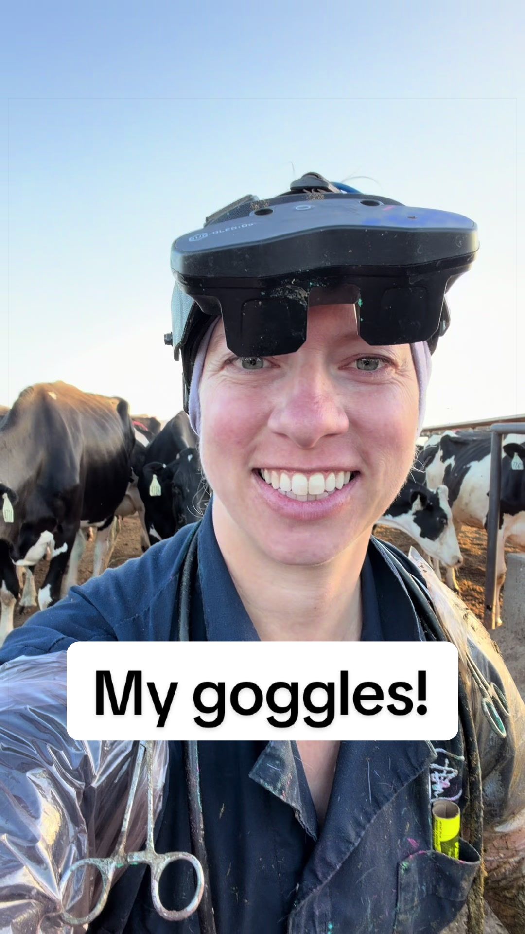 @Dairy Vet Dr. Michelle
