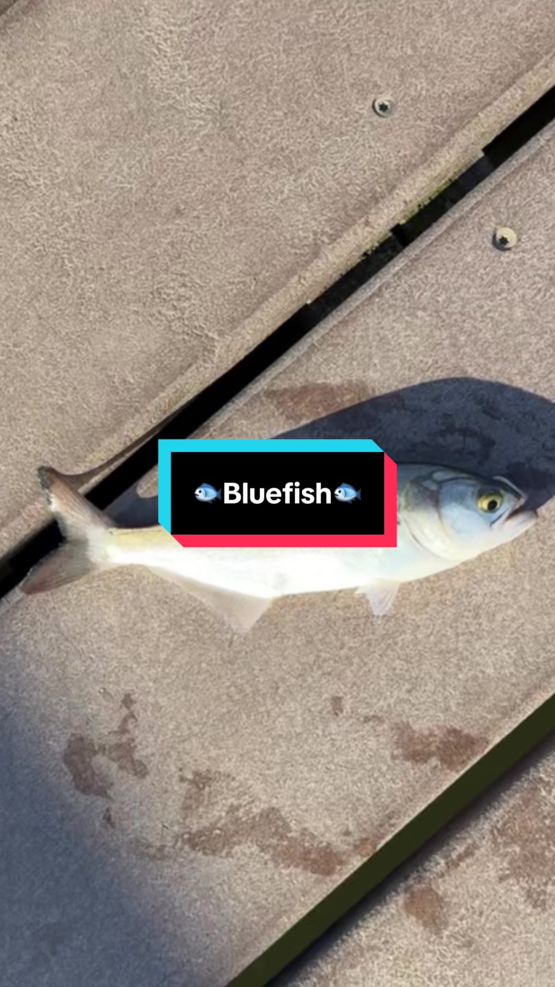 @fb1fishing
