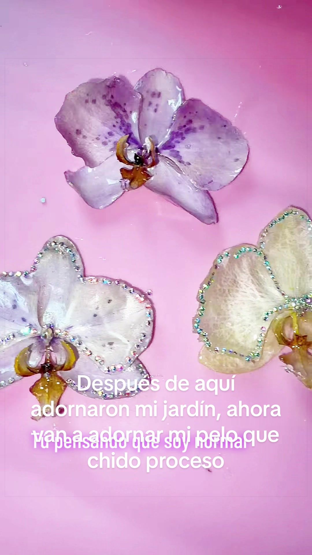 @aprendeconmary2