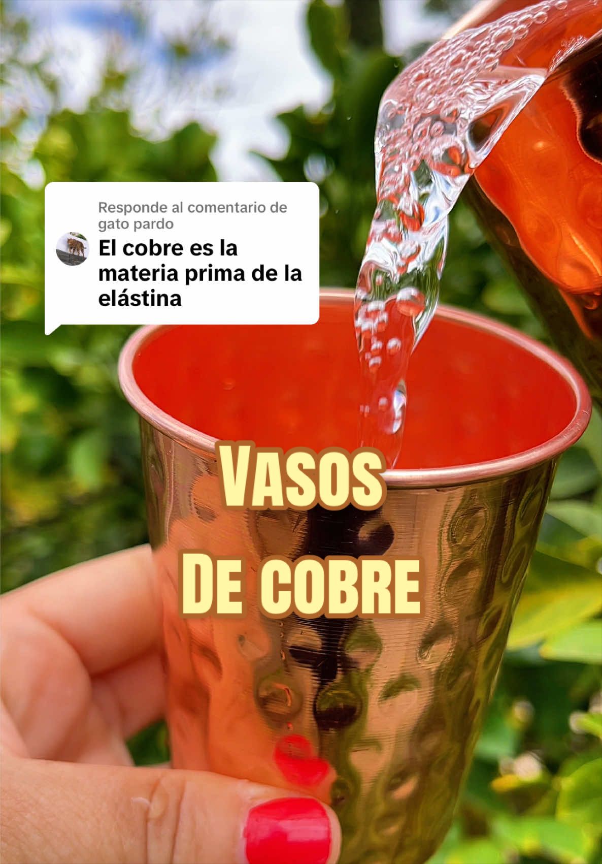 @Vane |Tips
