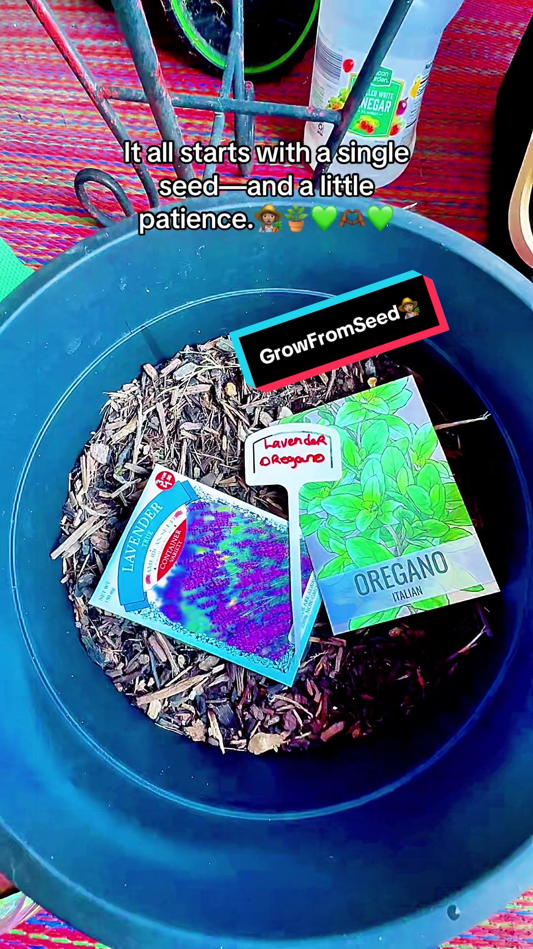 @TeeTee ❌♋️🦀