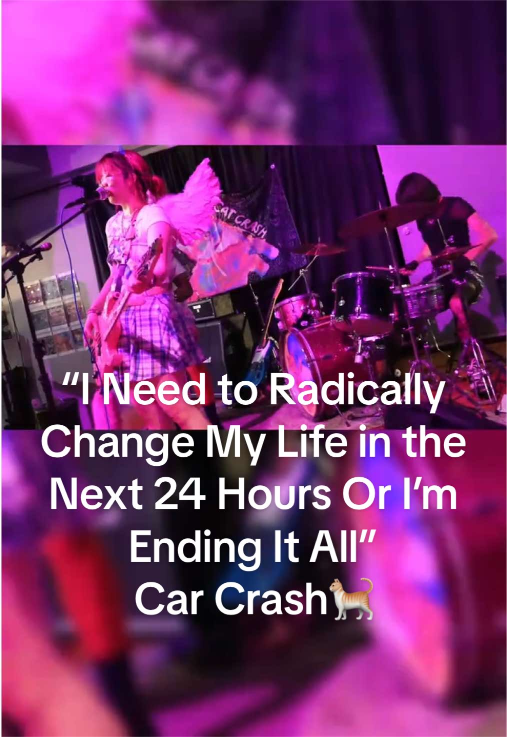 @cattnyc