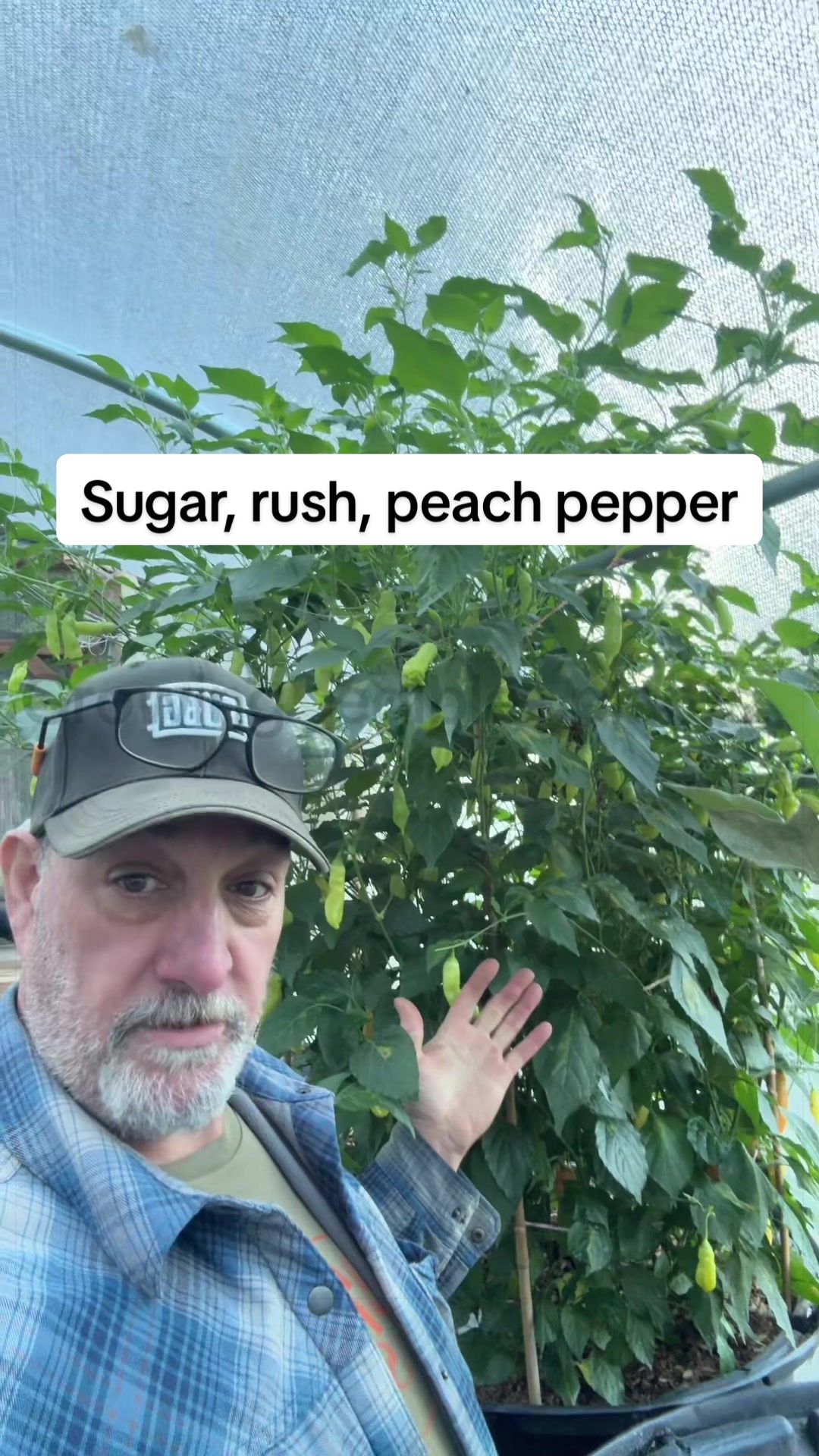 @GROWING_EDIBLE_PLANTS