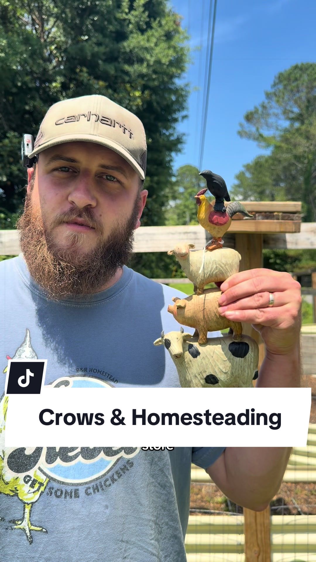 @Bandrhomestead