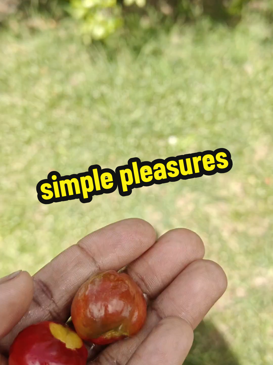 @Amber Alexis