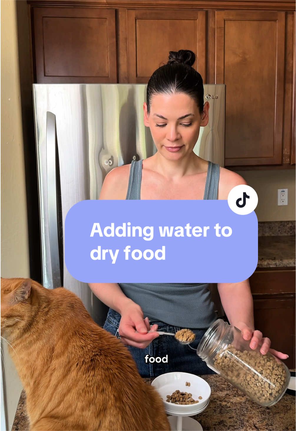 @Feminist Kitty | Cat Nutrition