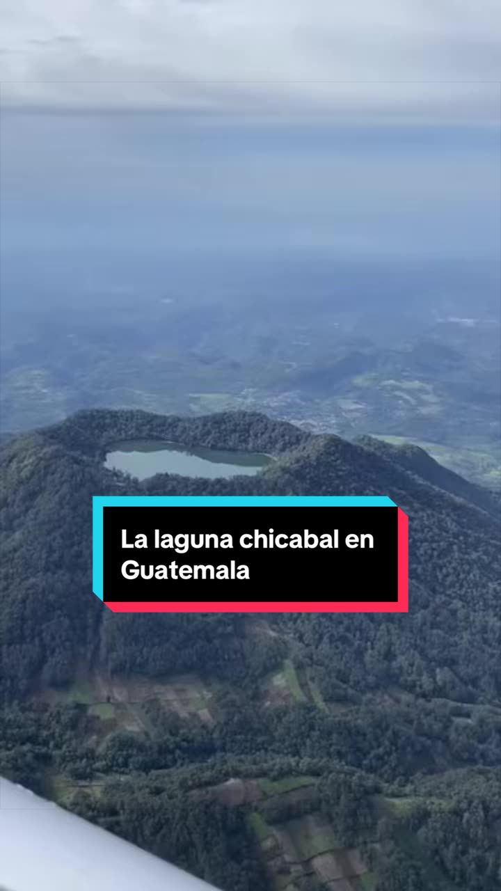 @El Wason
