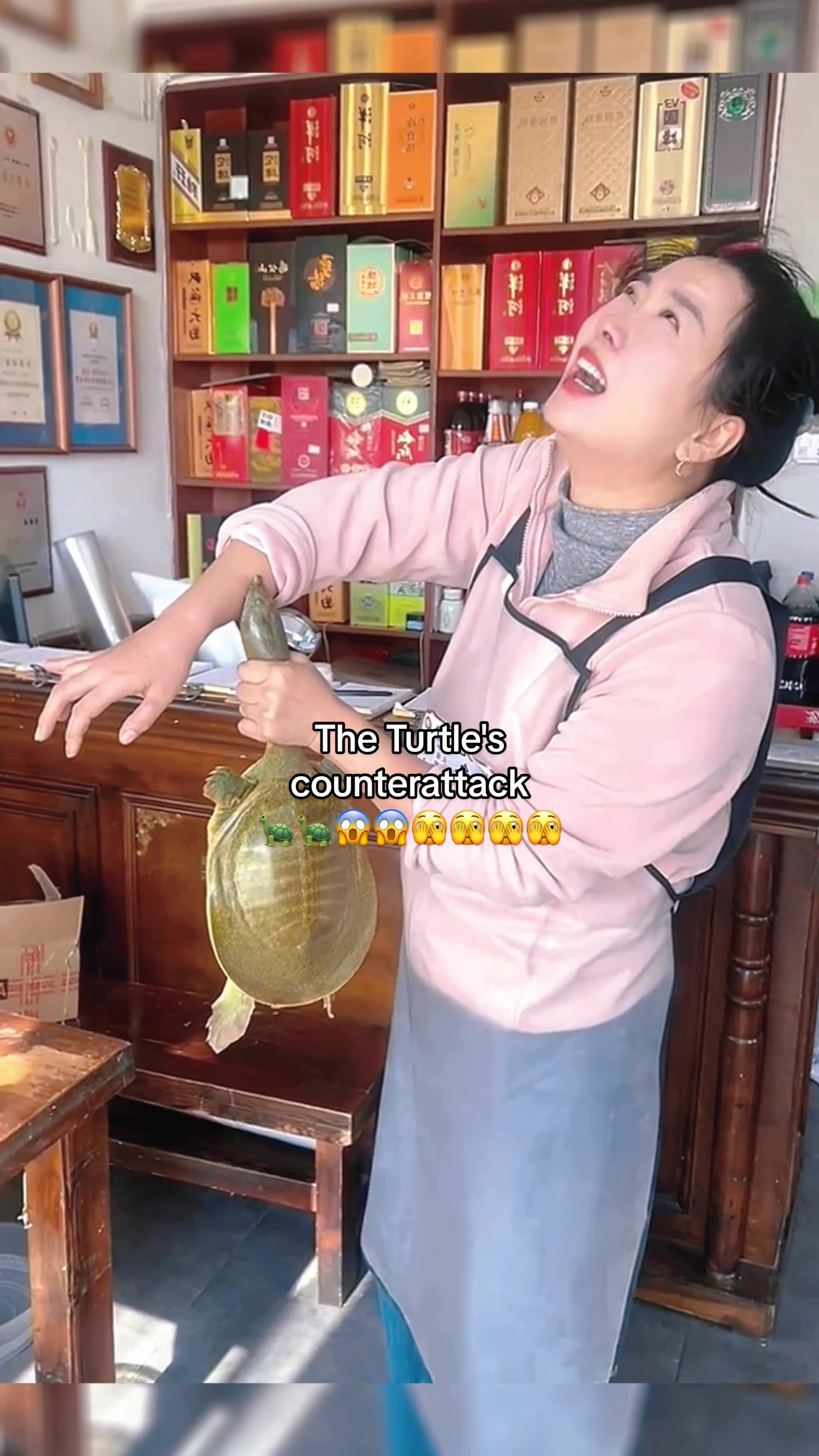 @Mr. Turtle