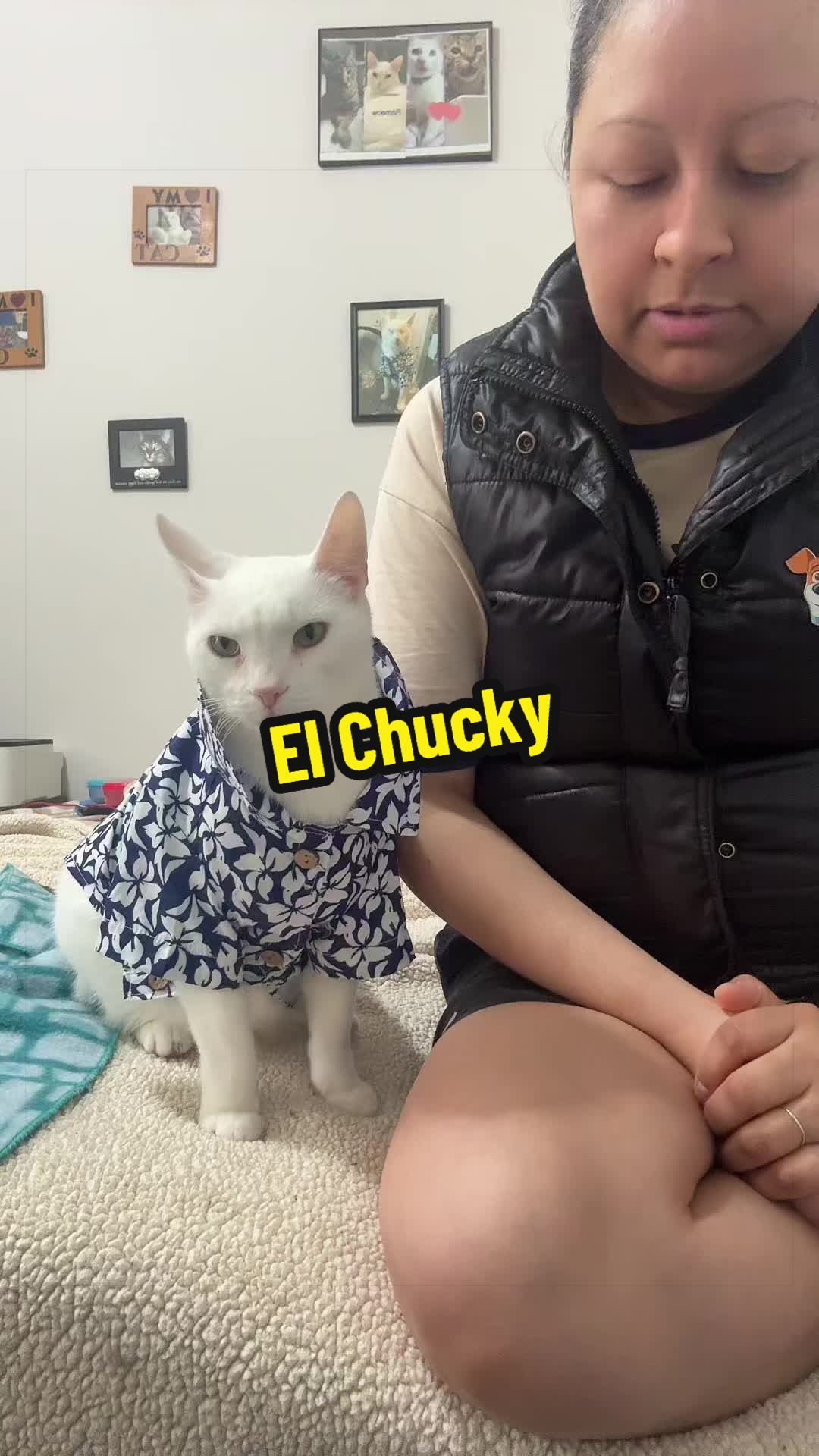 @🦖 MEOWassic CAT😺
