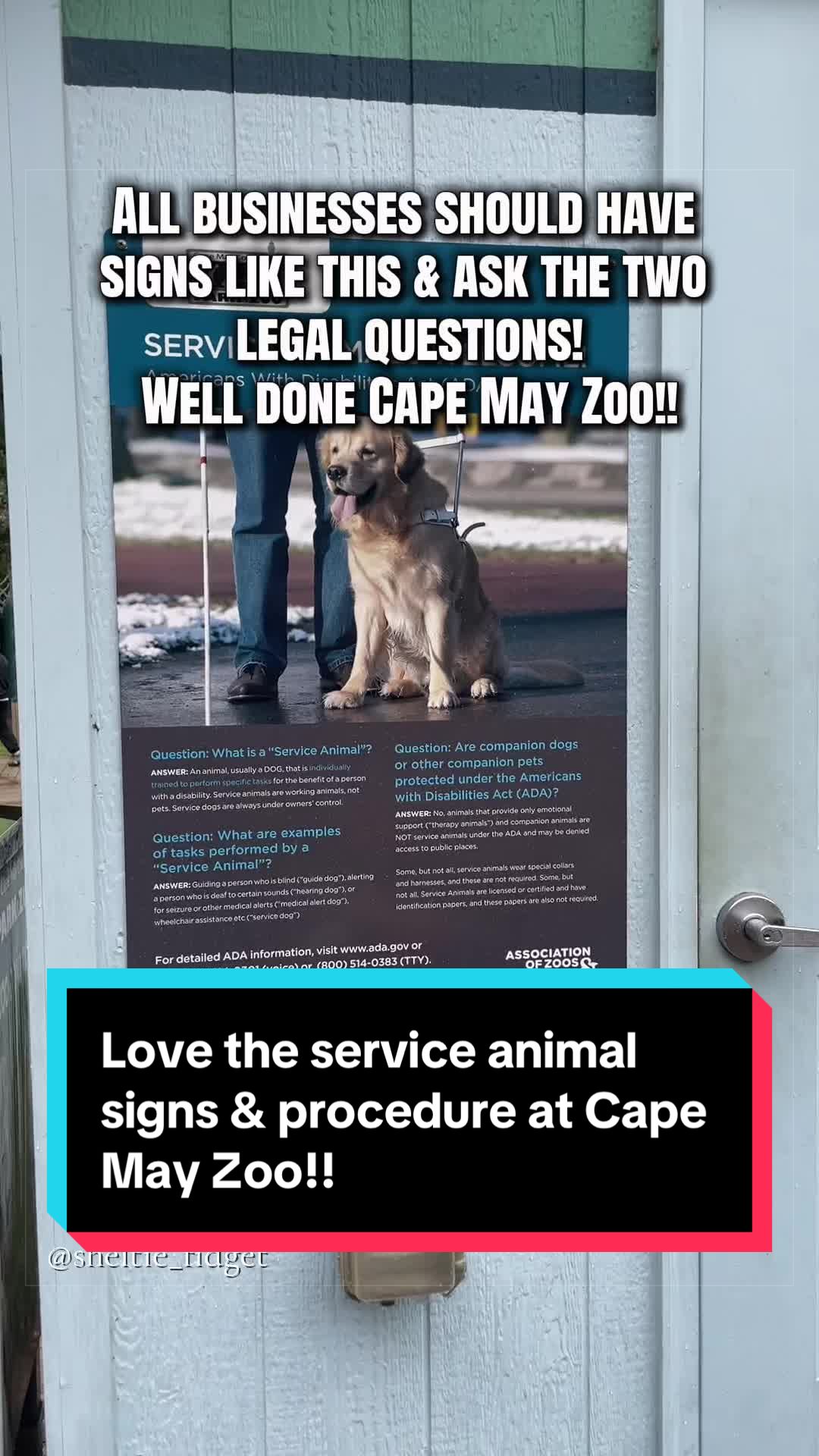 @Dakota & Pups