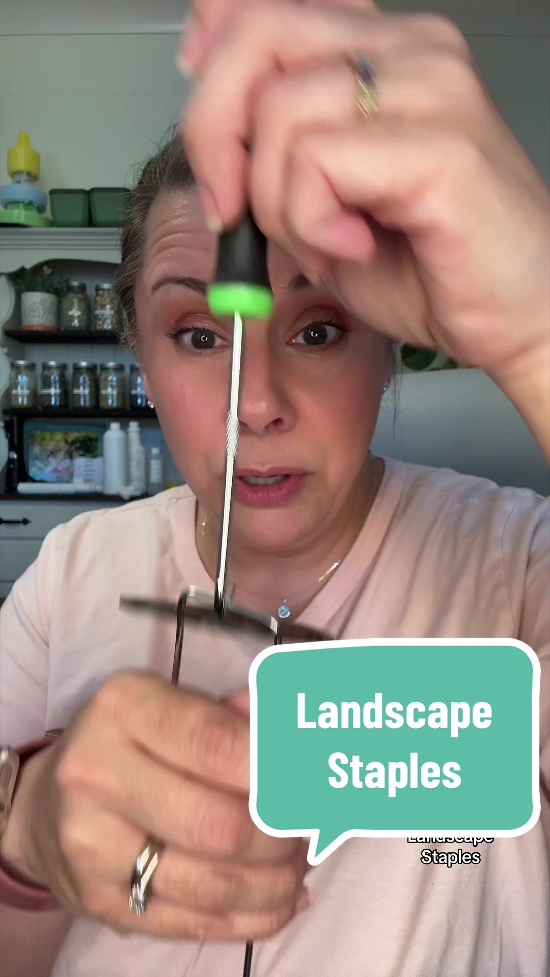 @Rachel Warren 🌱👋🏻