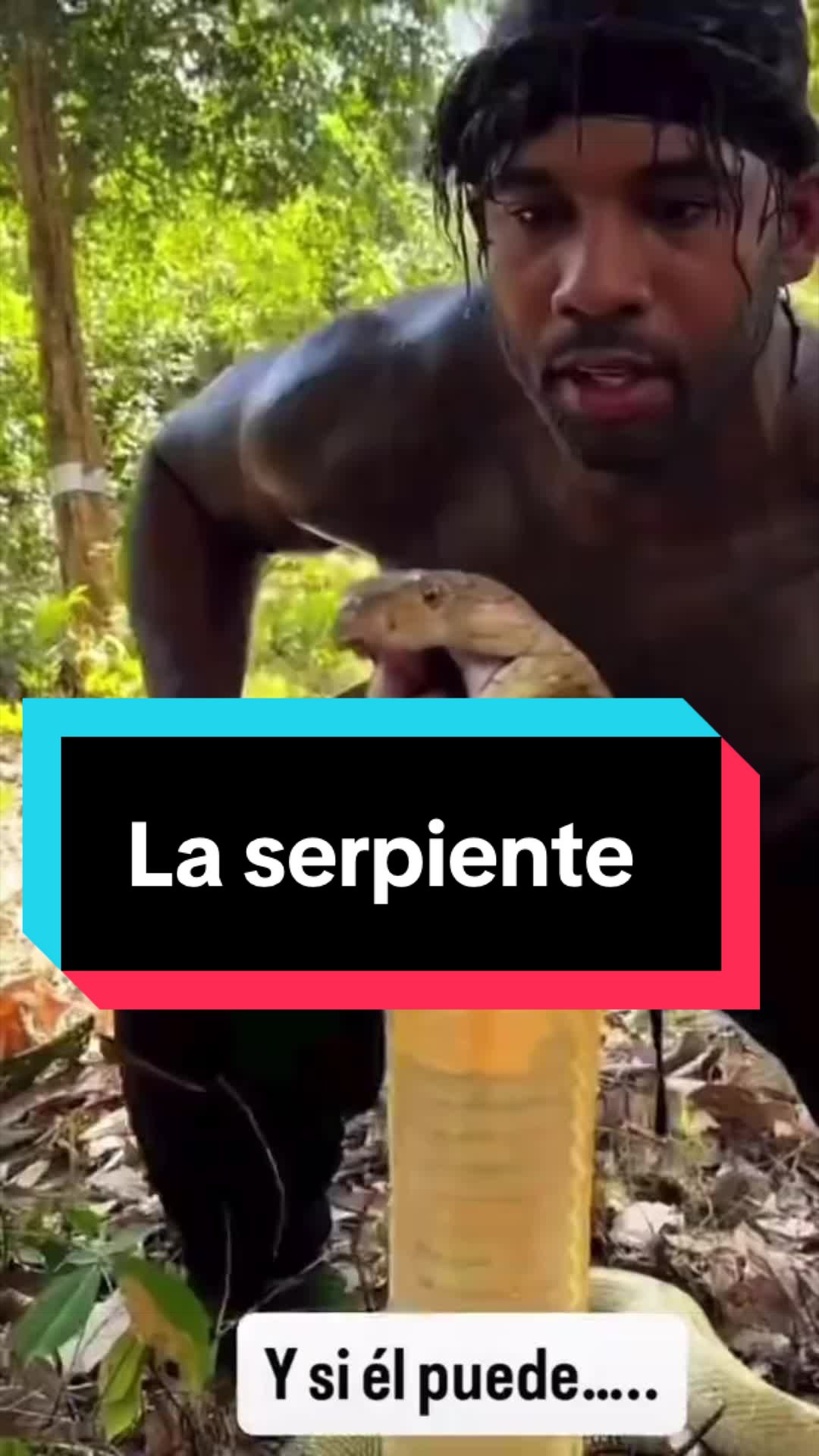 @yomax_risas