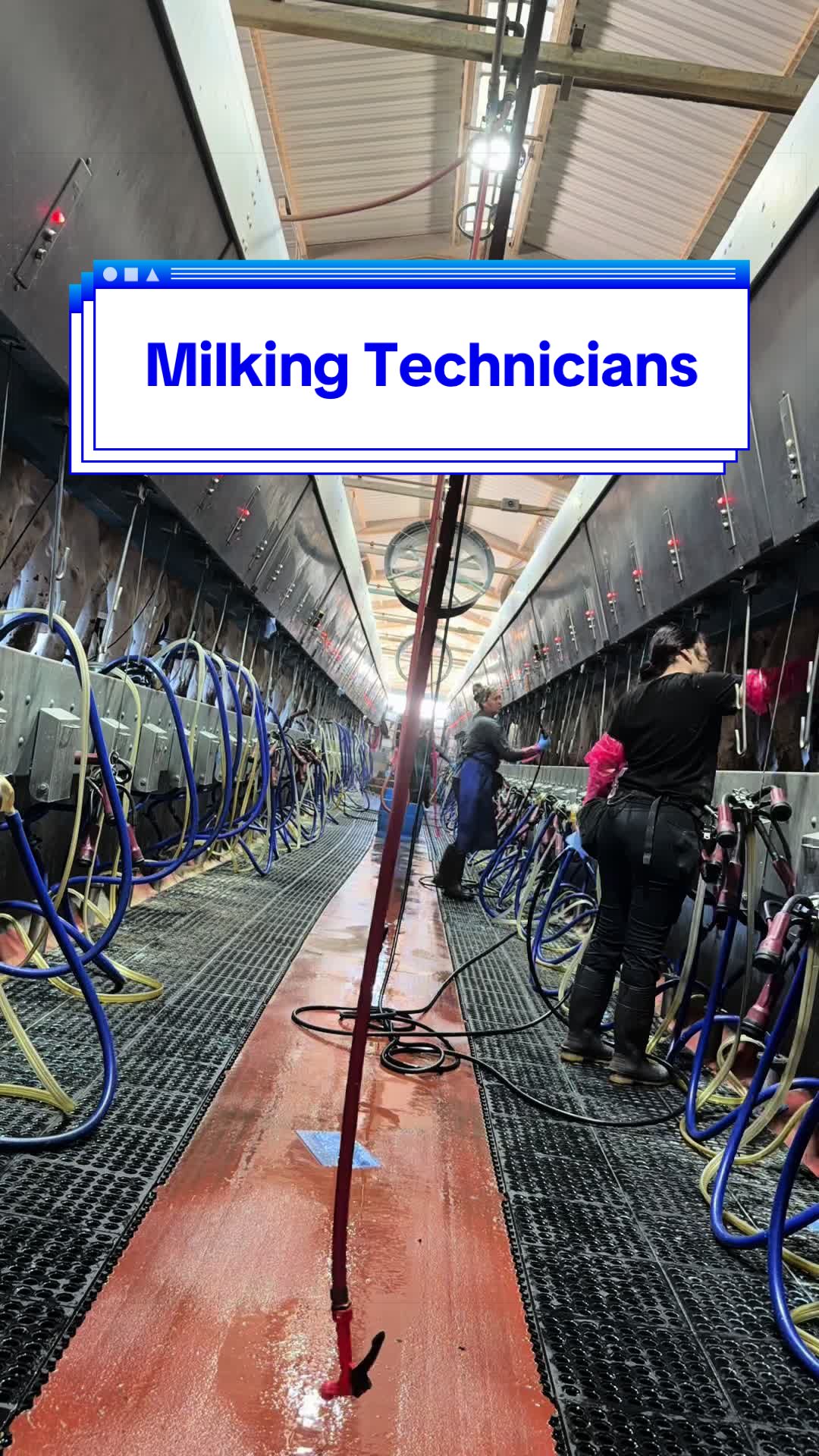 @Dairy Vet Dr. Michelle