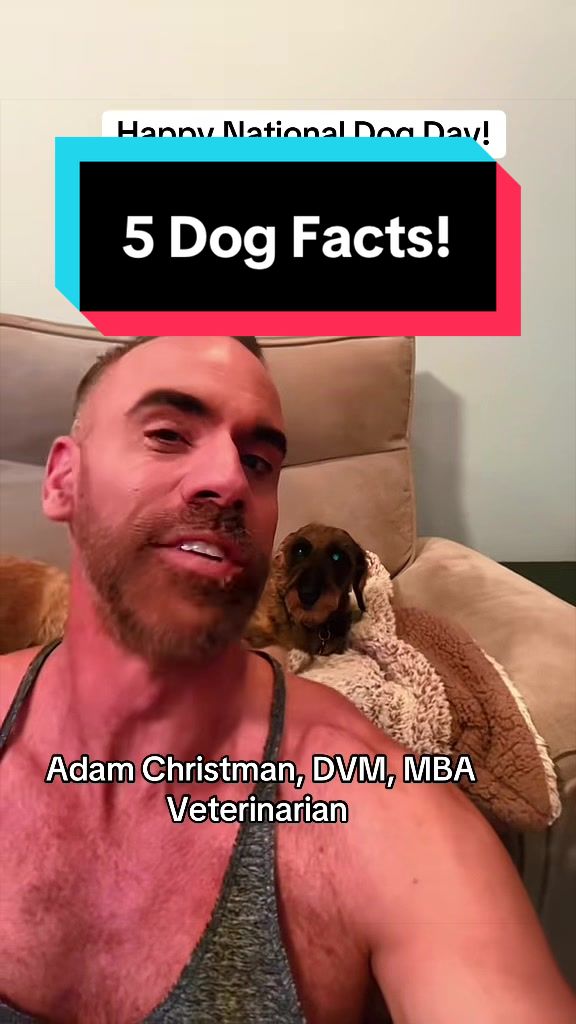@dr.adam_christman_Veterinarian