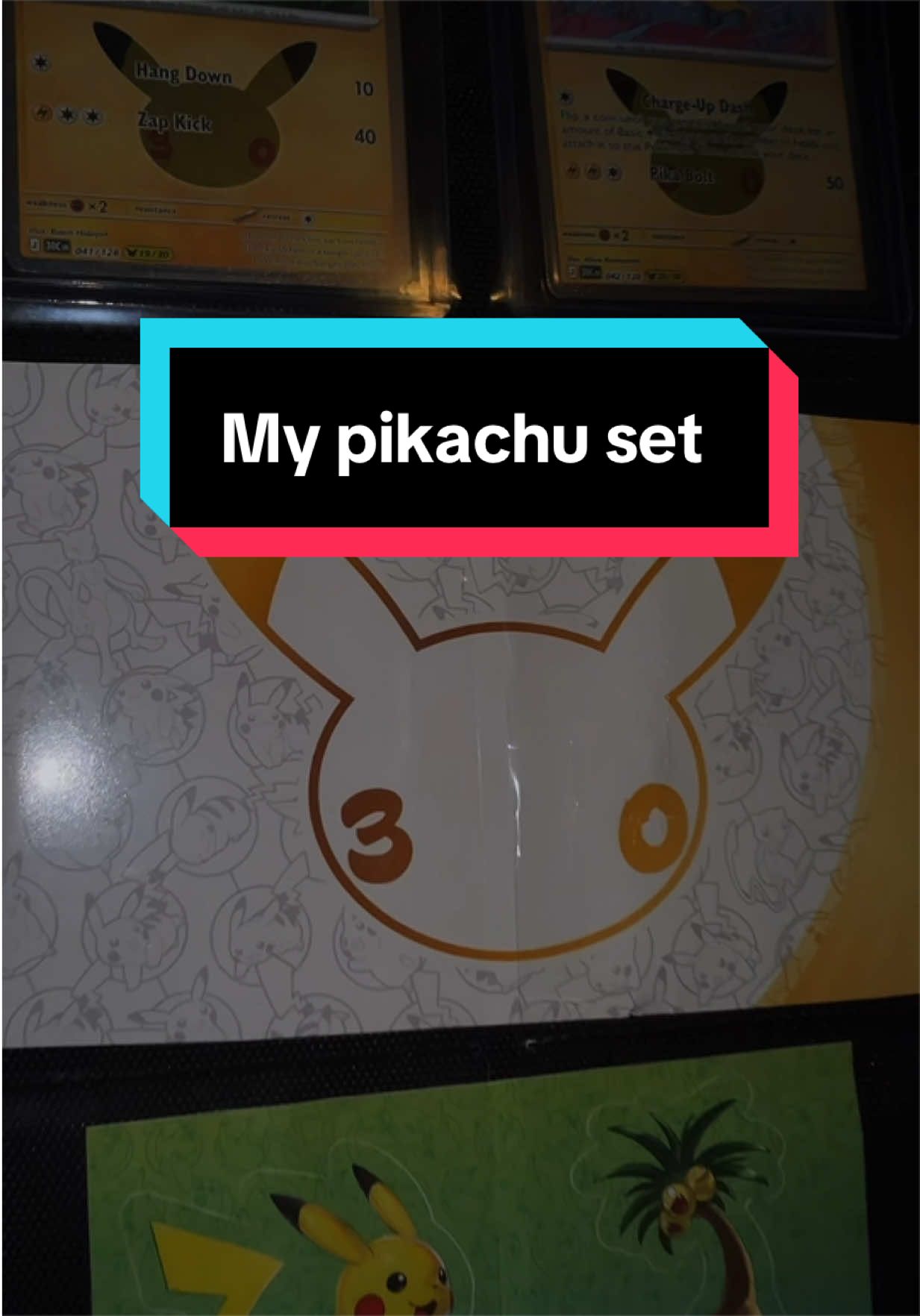 @poke_camii