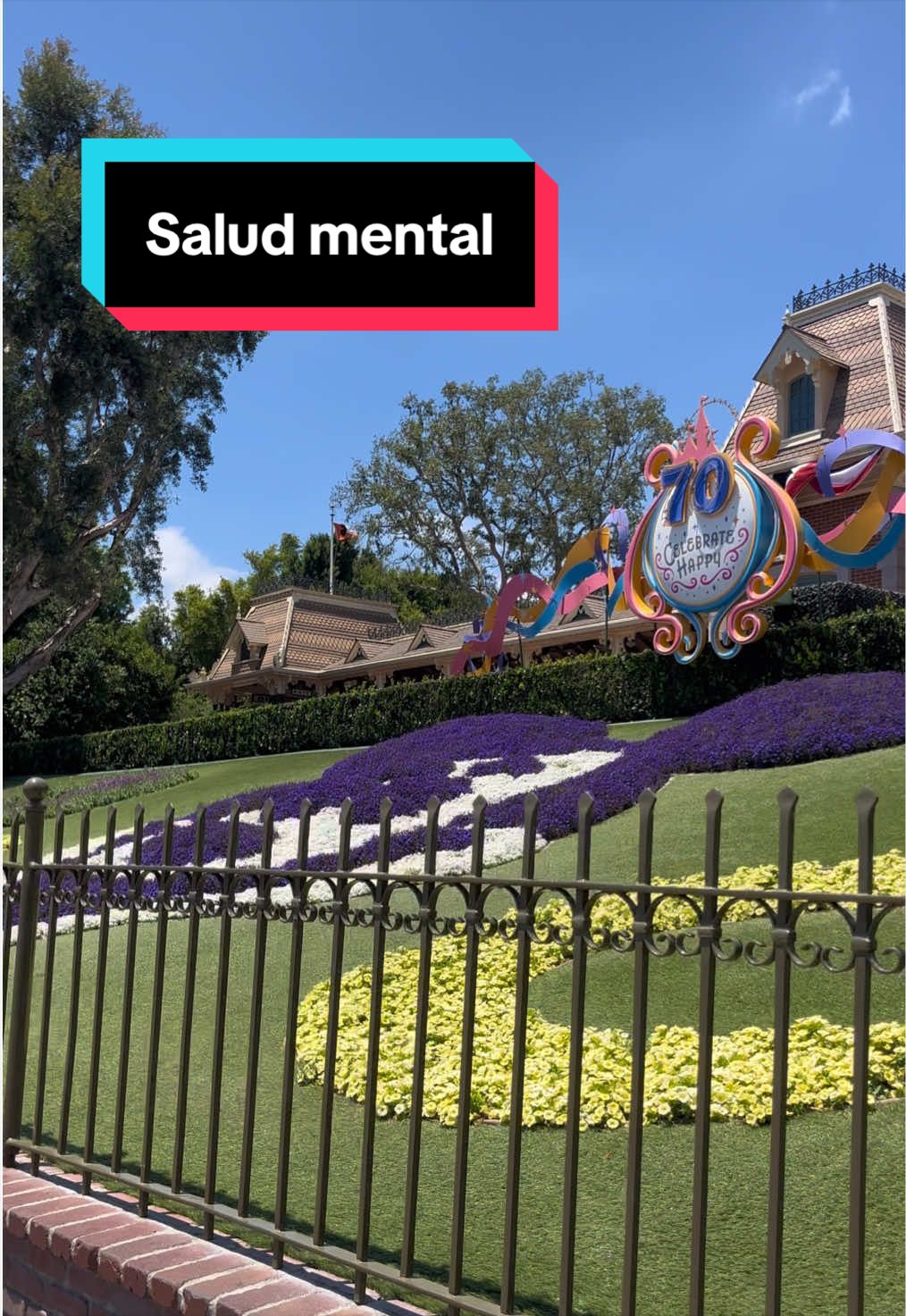 @En Disneylandia
