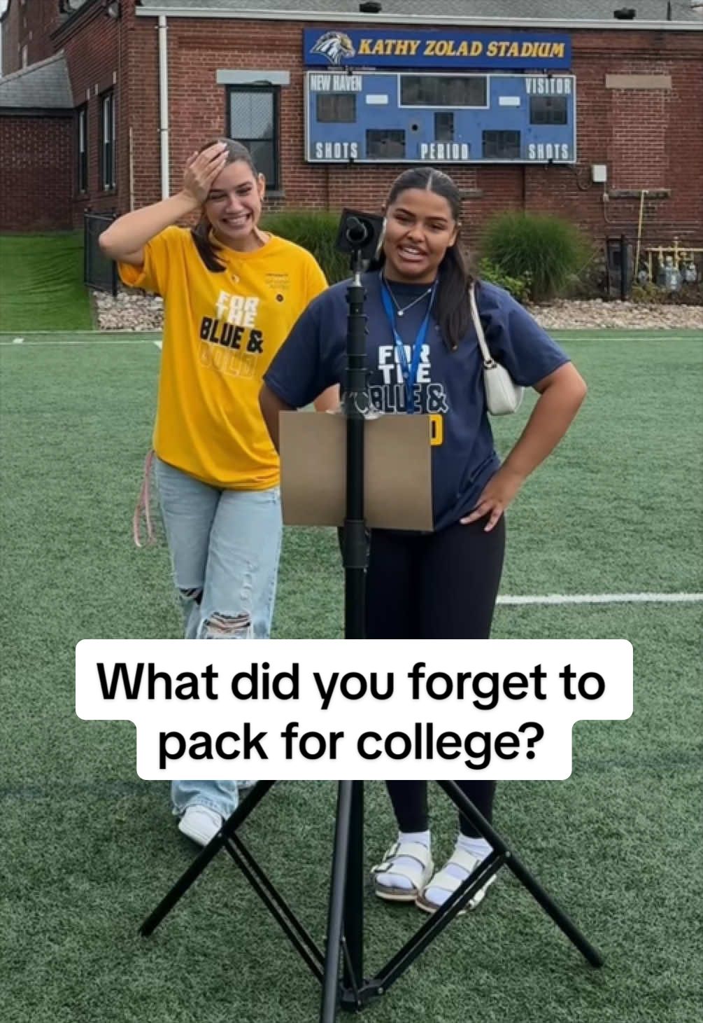 @University of New Haven