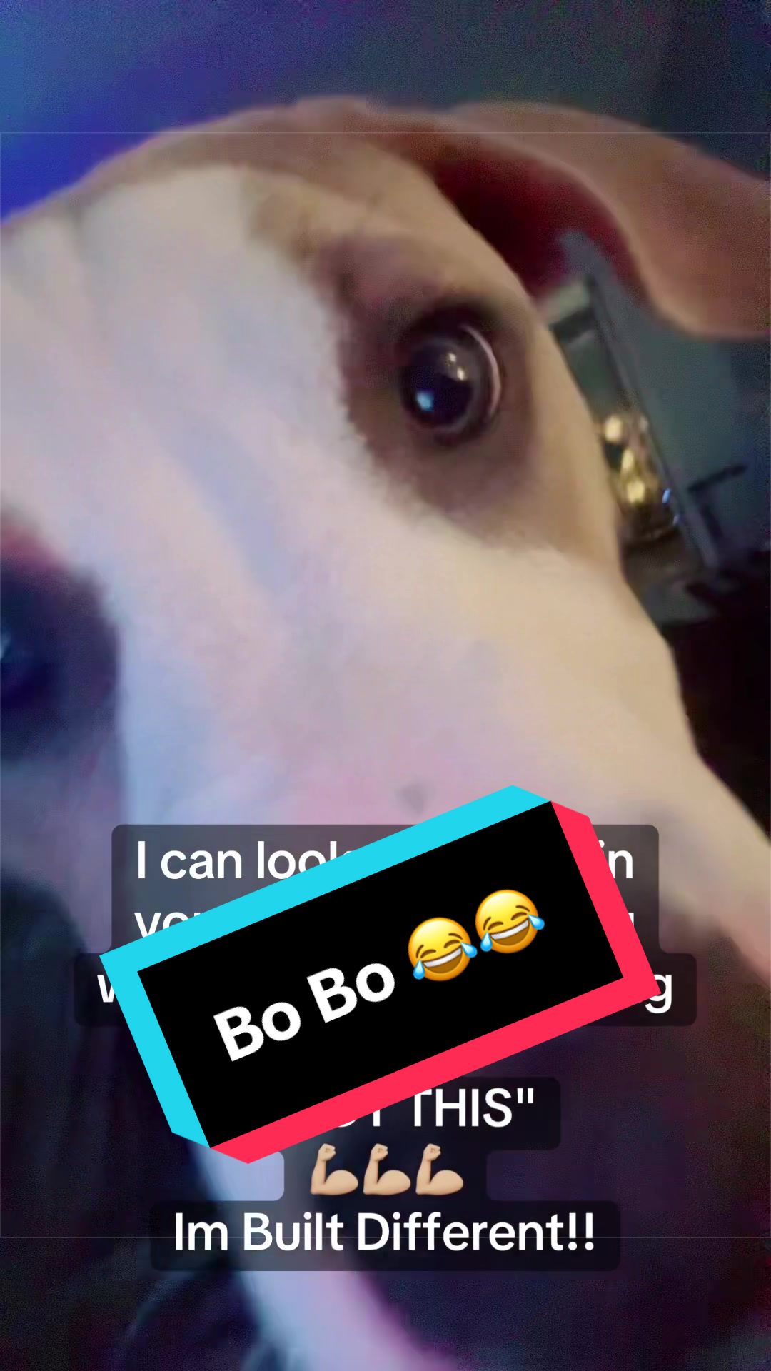 @🖤Sir_Veteranguy🖤