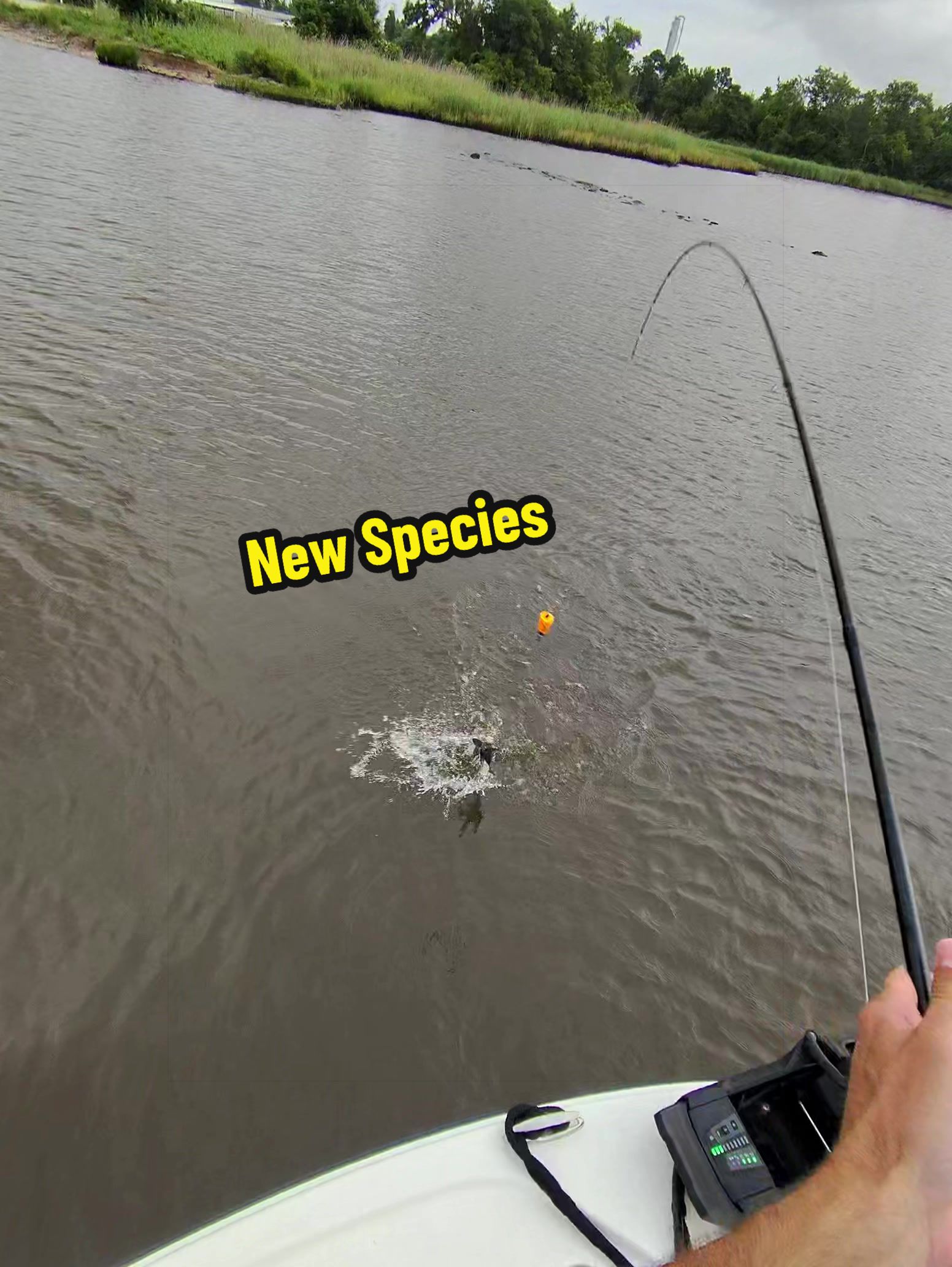 @B. A. Fishing