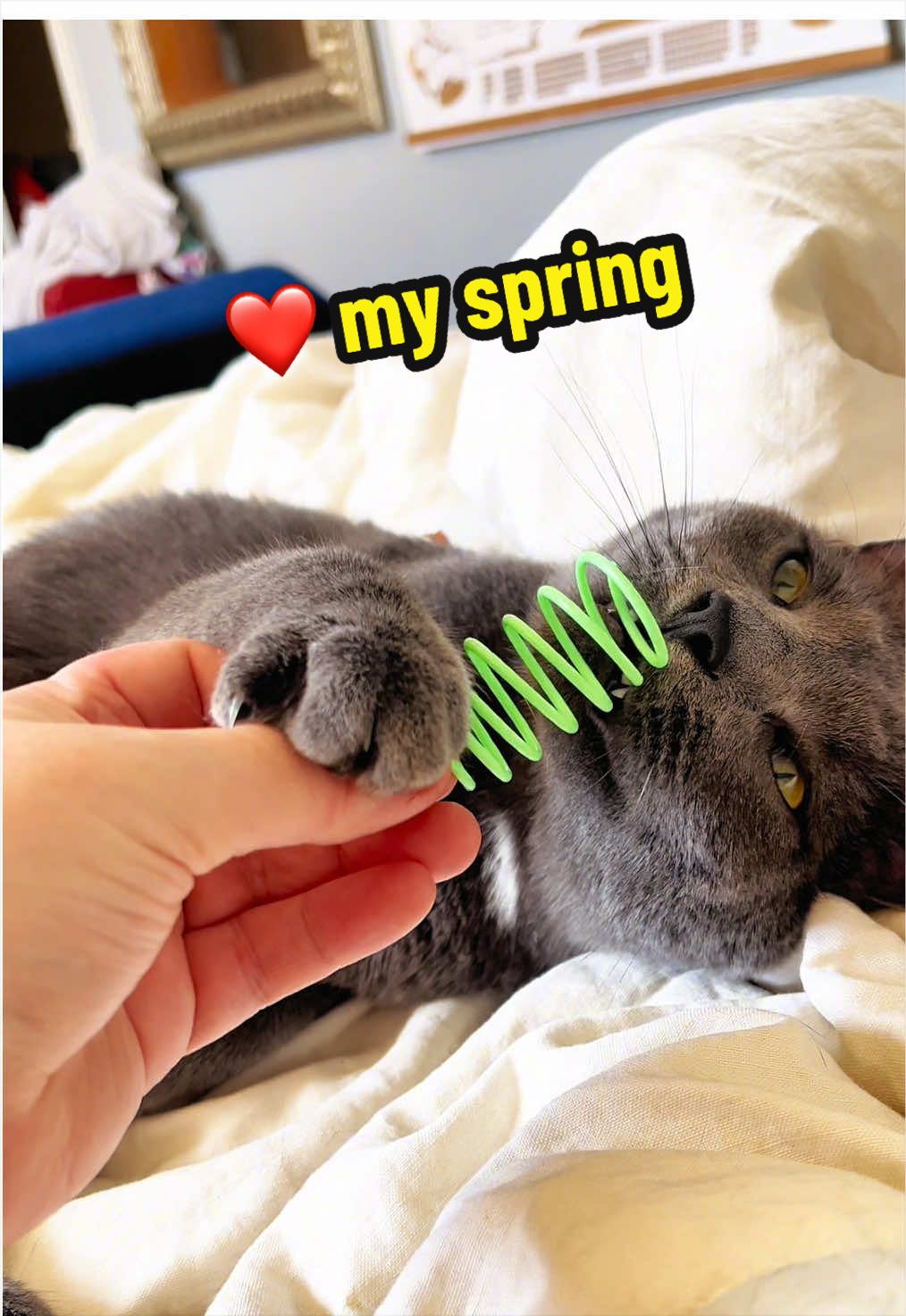 @NermalTCat