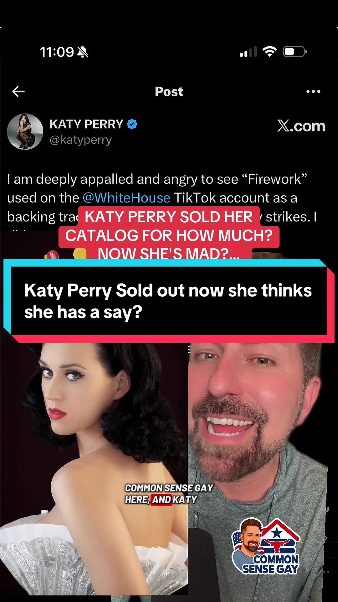 @commonsensegay