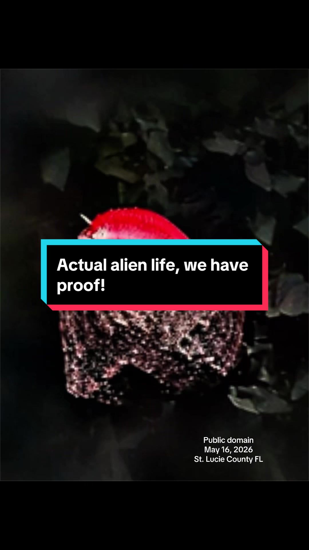 @universeisherenow