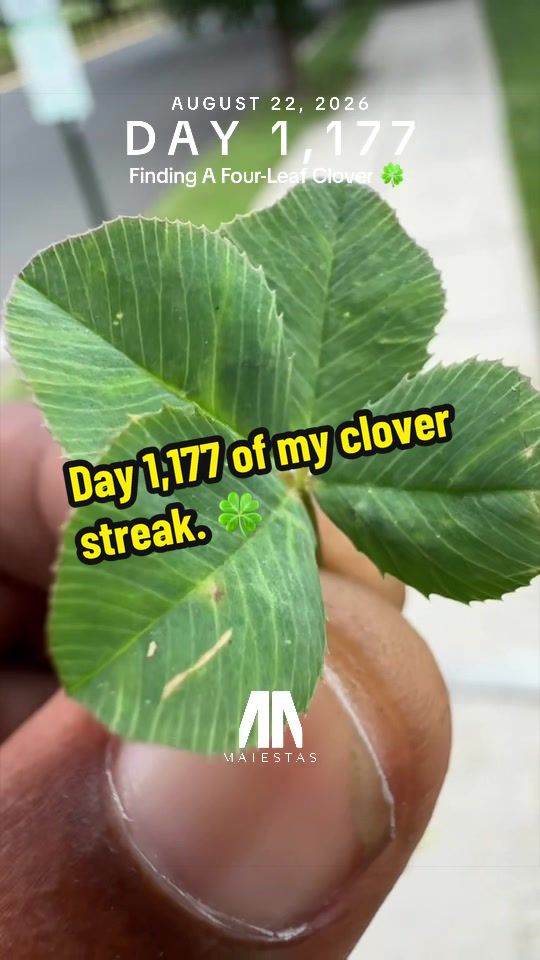 @NomadMrMurkCity