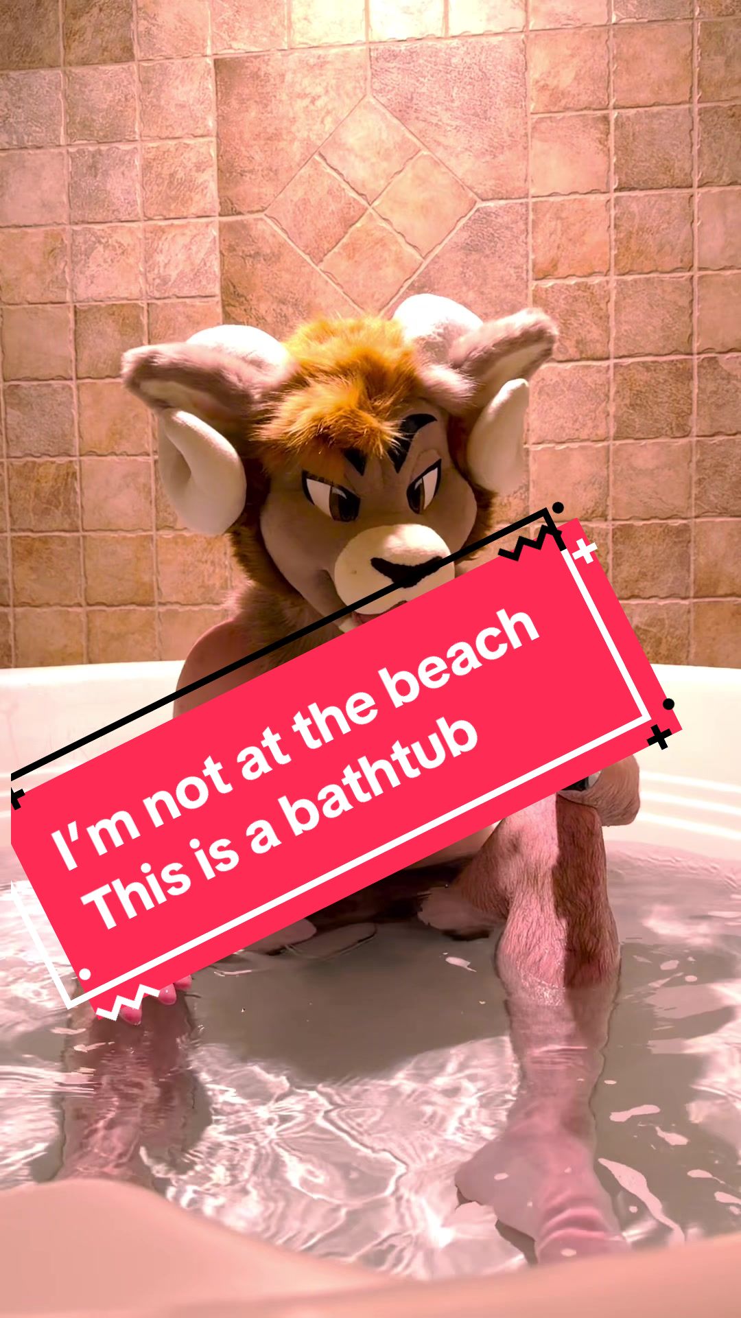 @SamTheRam