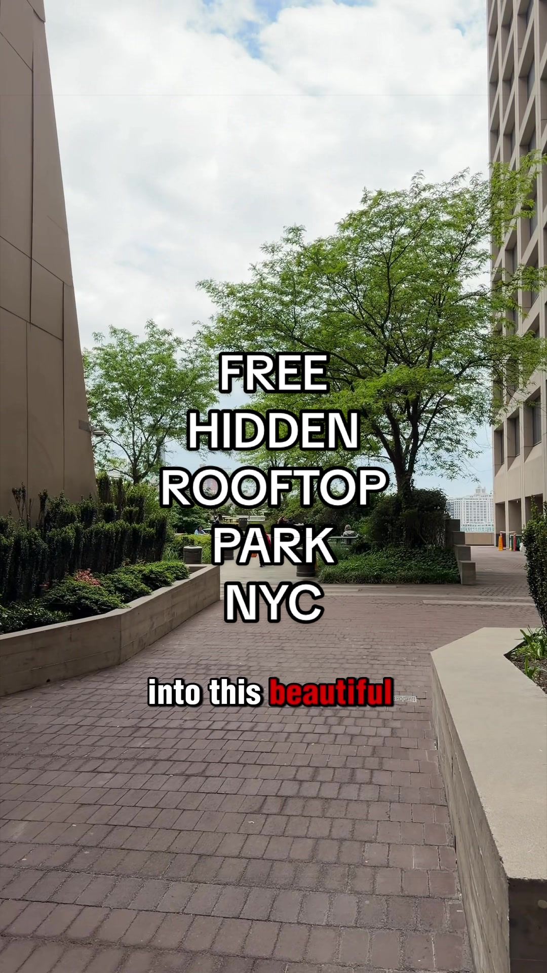 @jeffreyinnyc