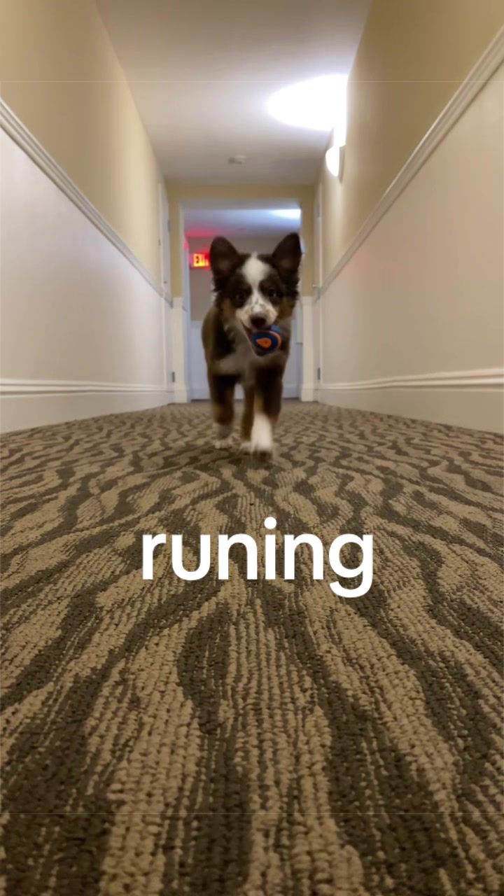 @ShushuTravels