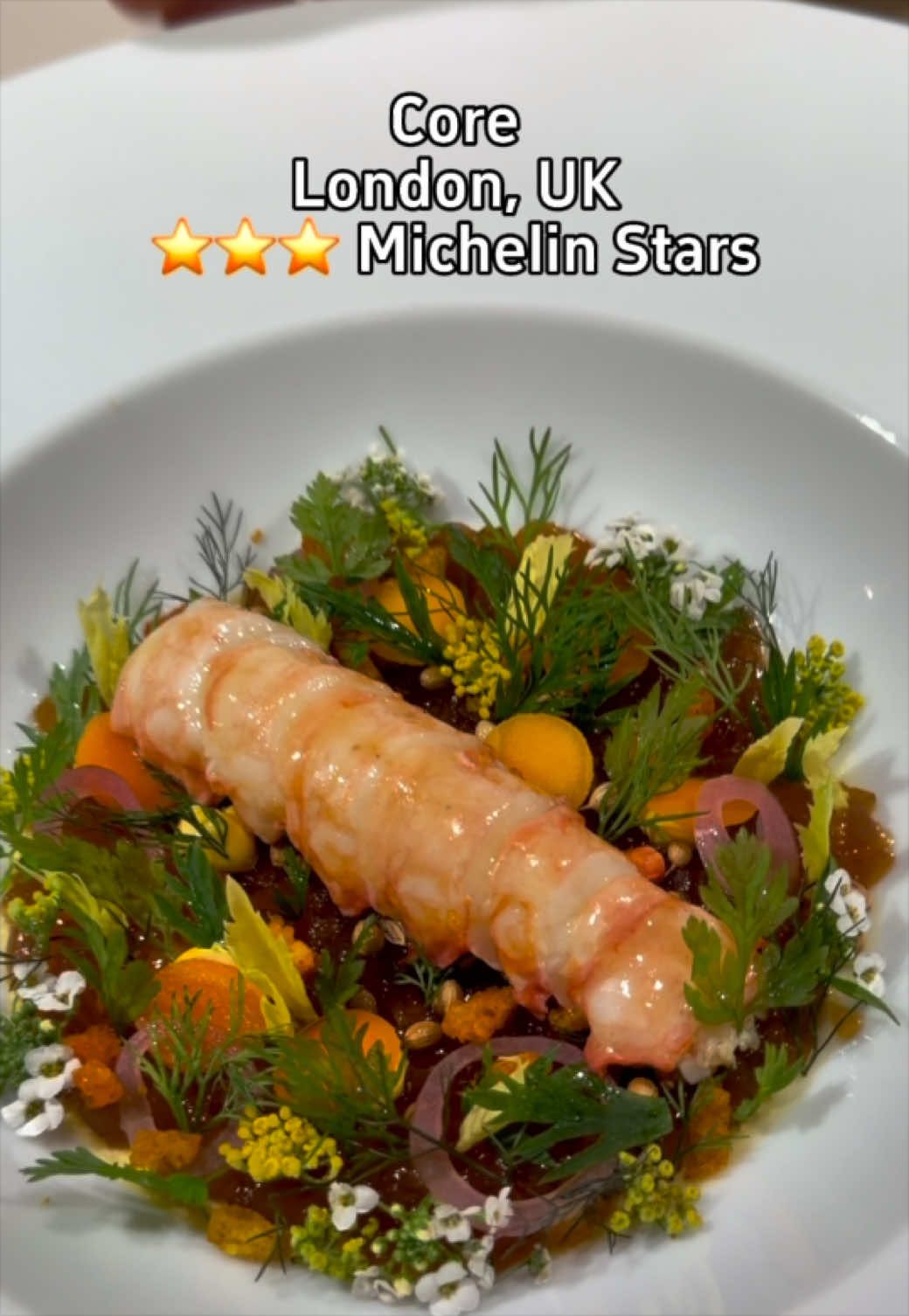 @High Speed Dining