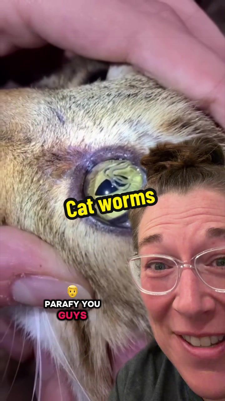 @Worm Queen🪱👸🏼Kim Rogers