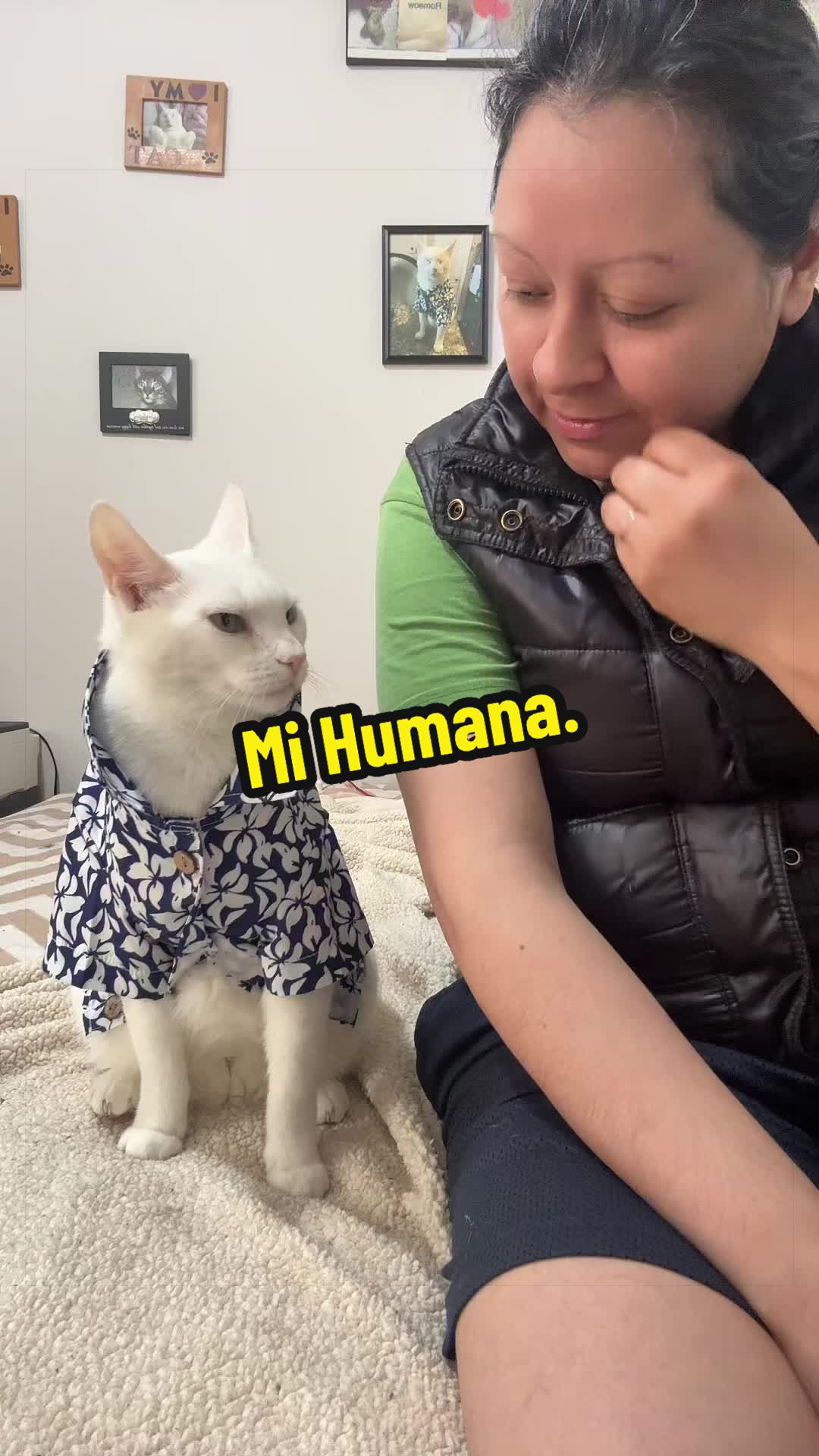 @🦖 MEOWassic CAT😺
