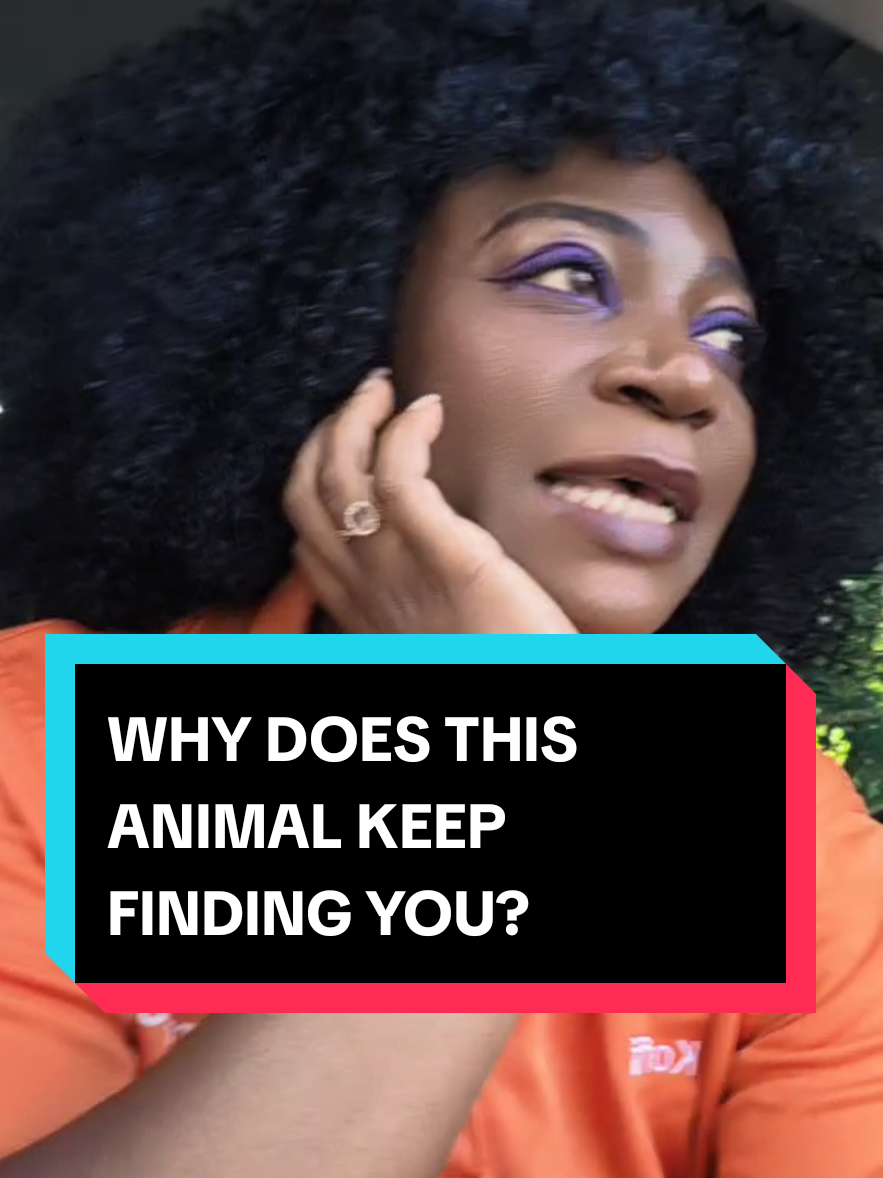 @Kofi