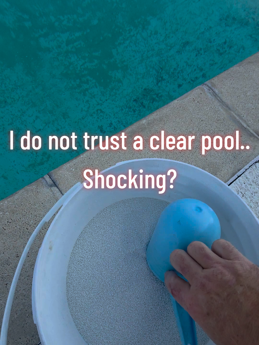 @Rex | BR Pool Pro