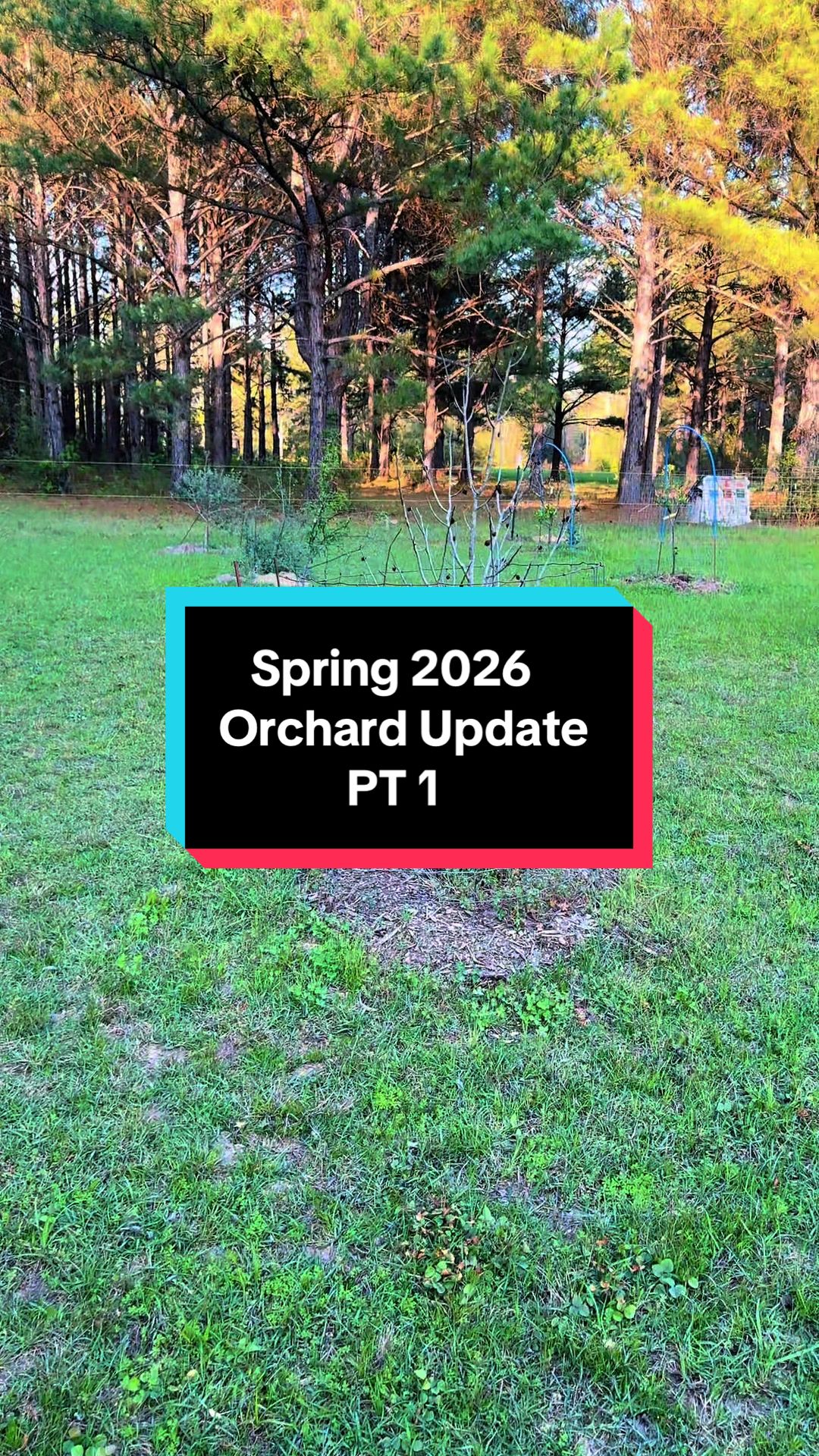@Old_Stillmore_Homestead