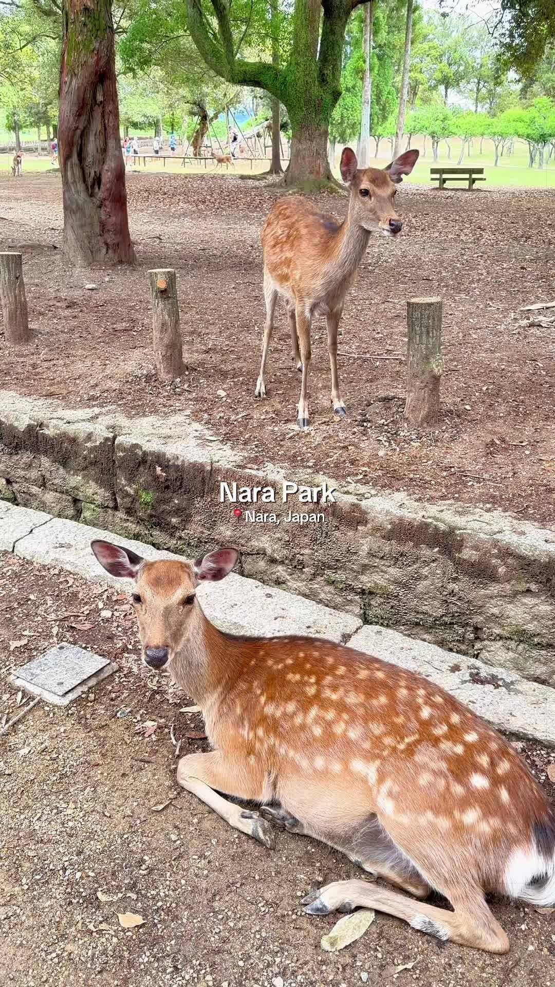 @valeria