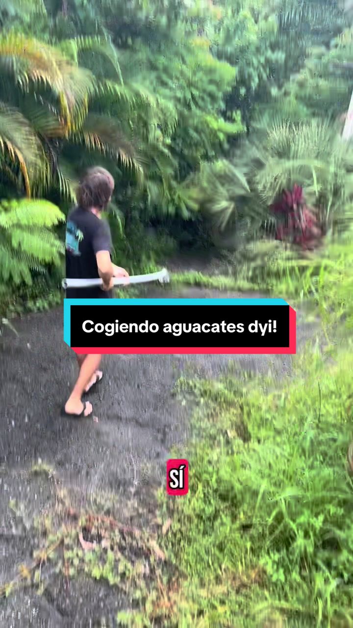 @JOACO! 🇵🇷🇵🇷
