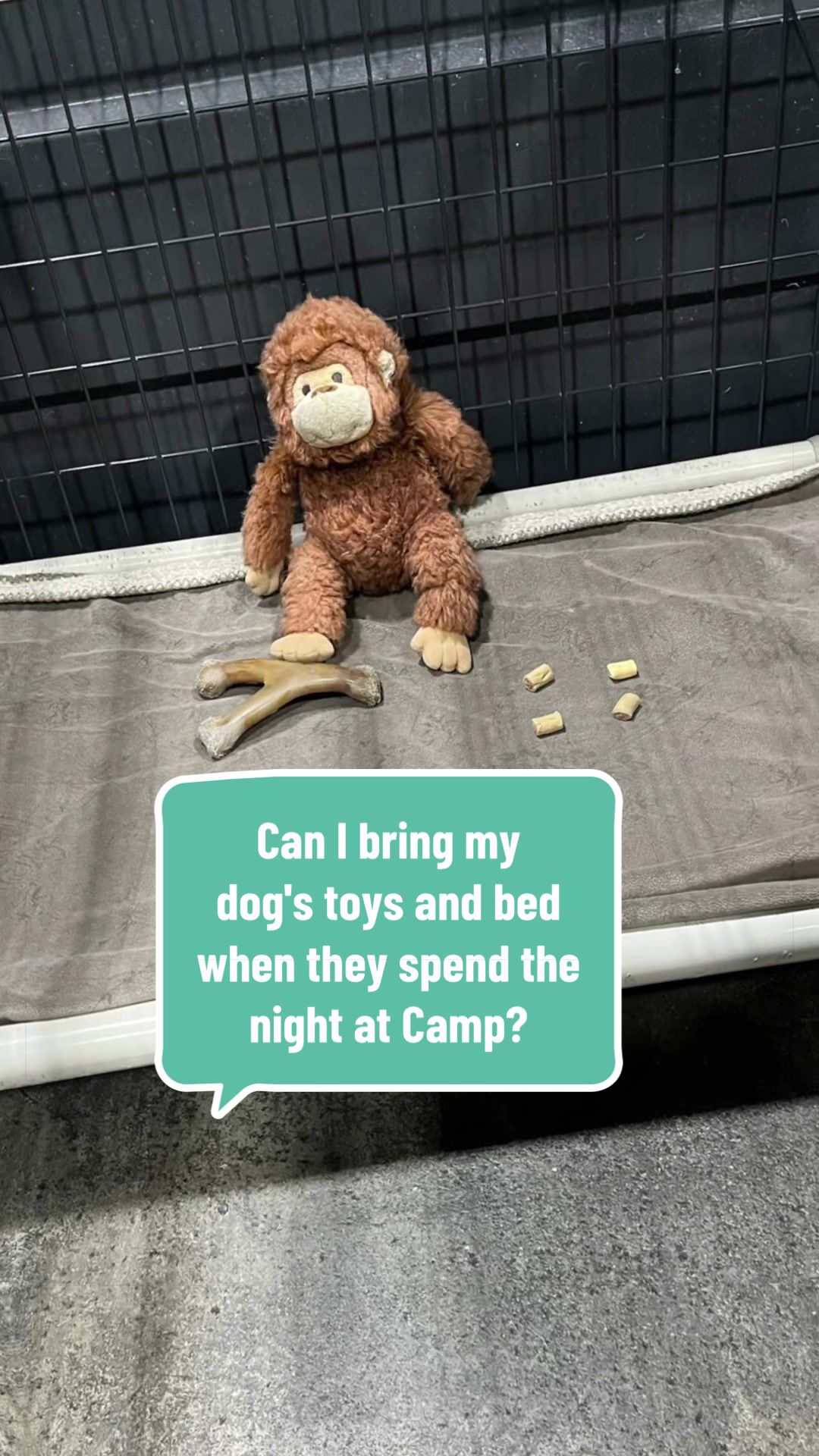 @CampBowWow Eatontown