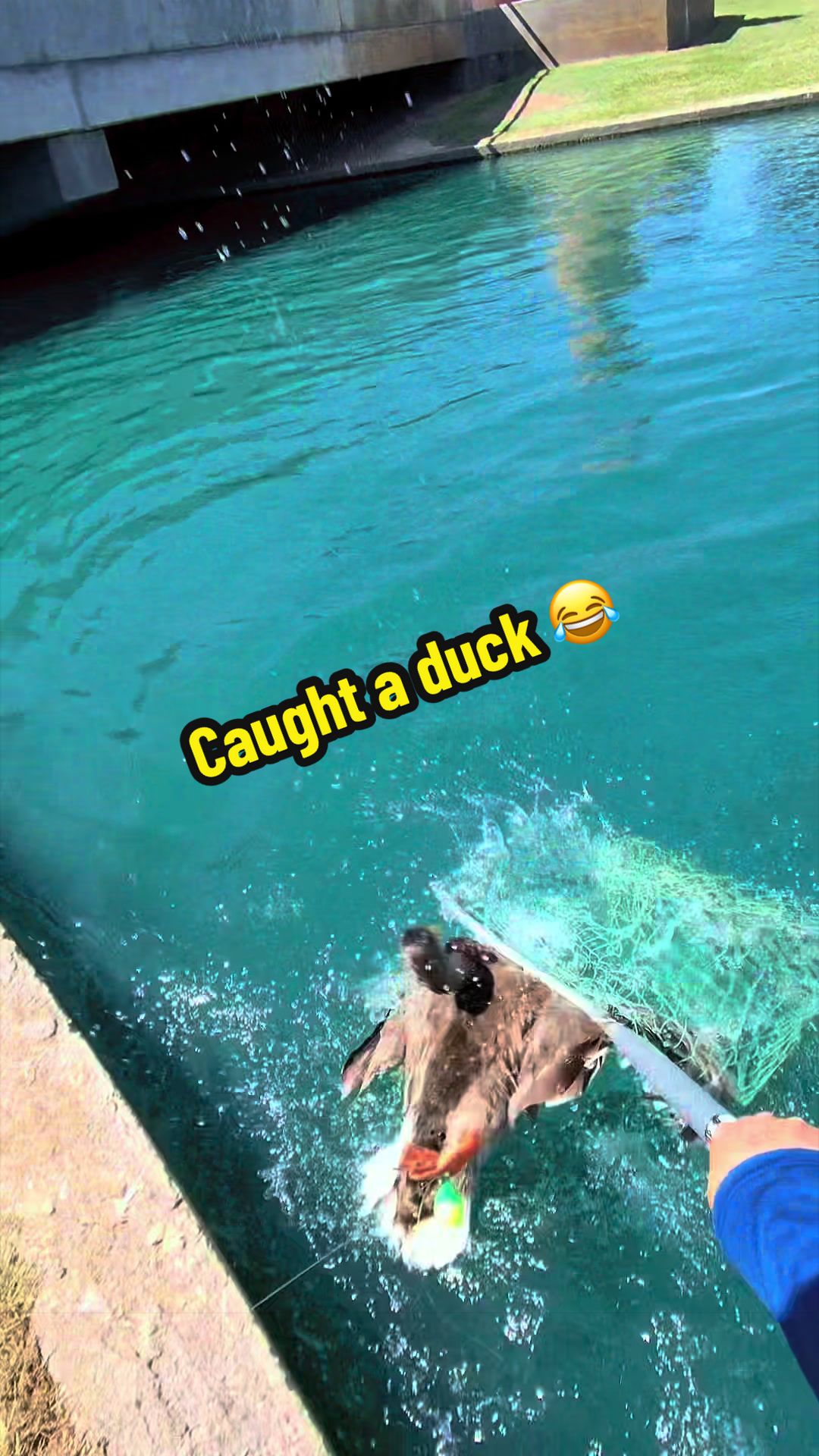 @Luu Nguyen Fishing