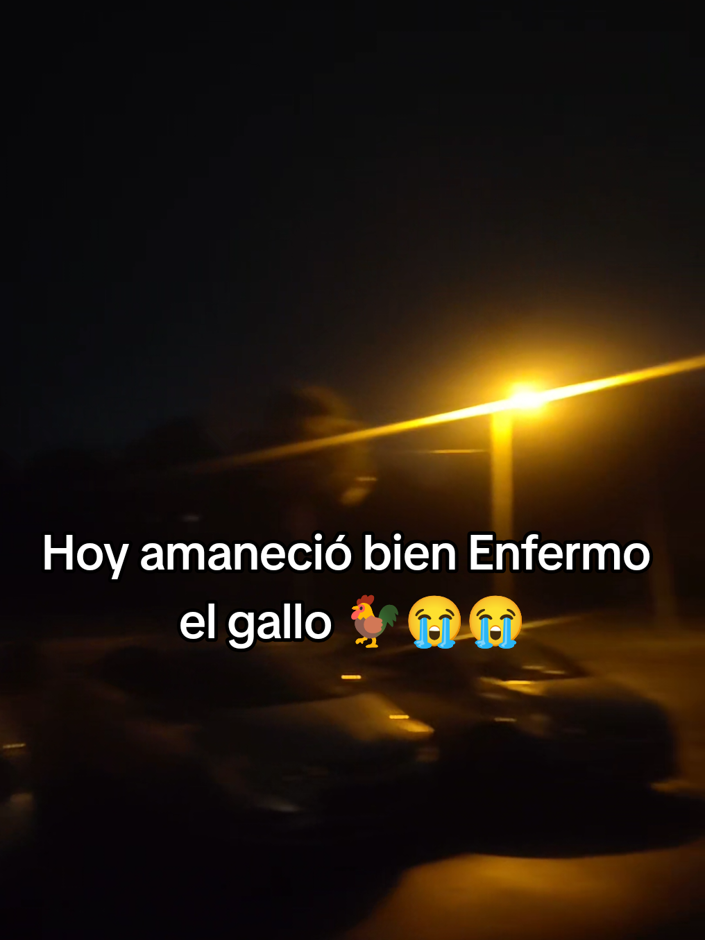 @JerBer