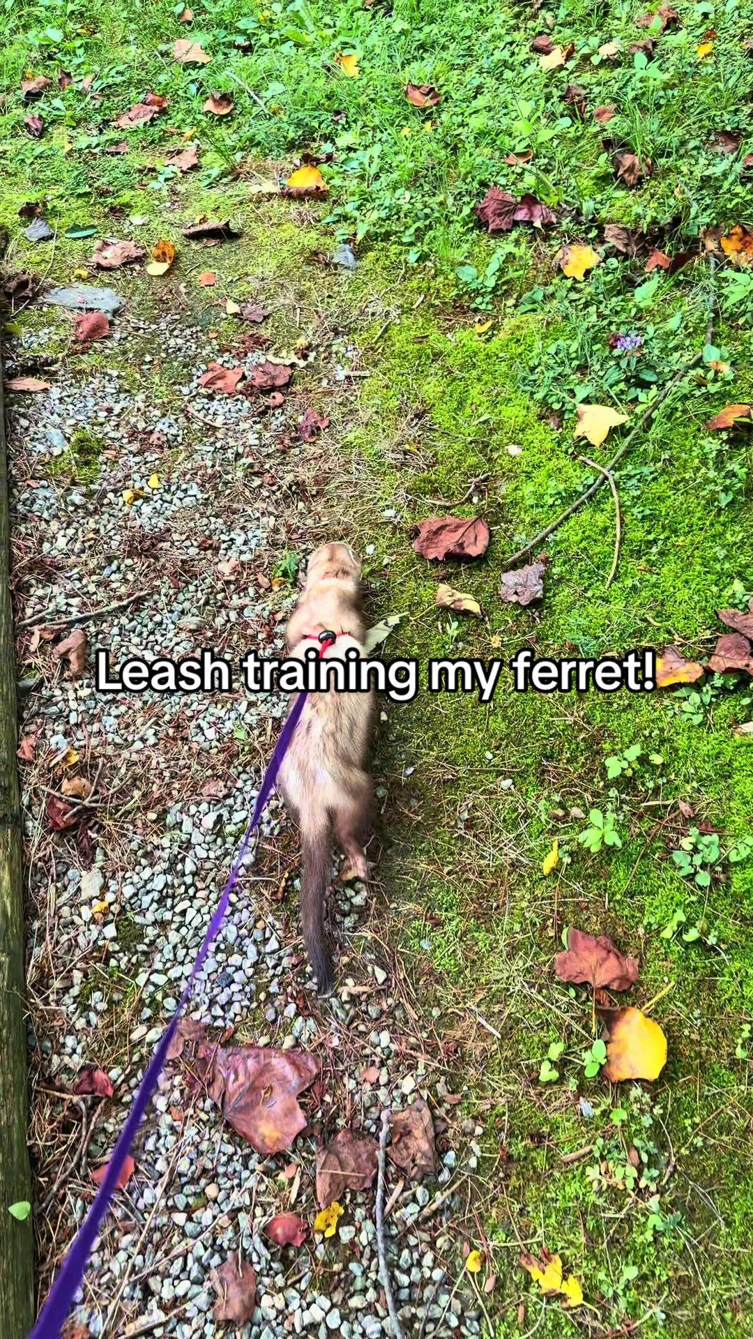 @demigodofthewindnsea