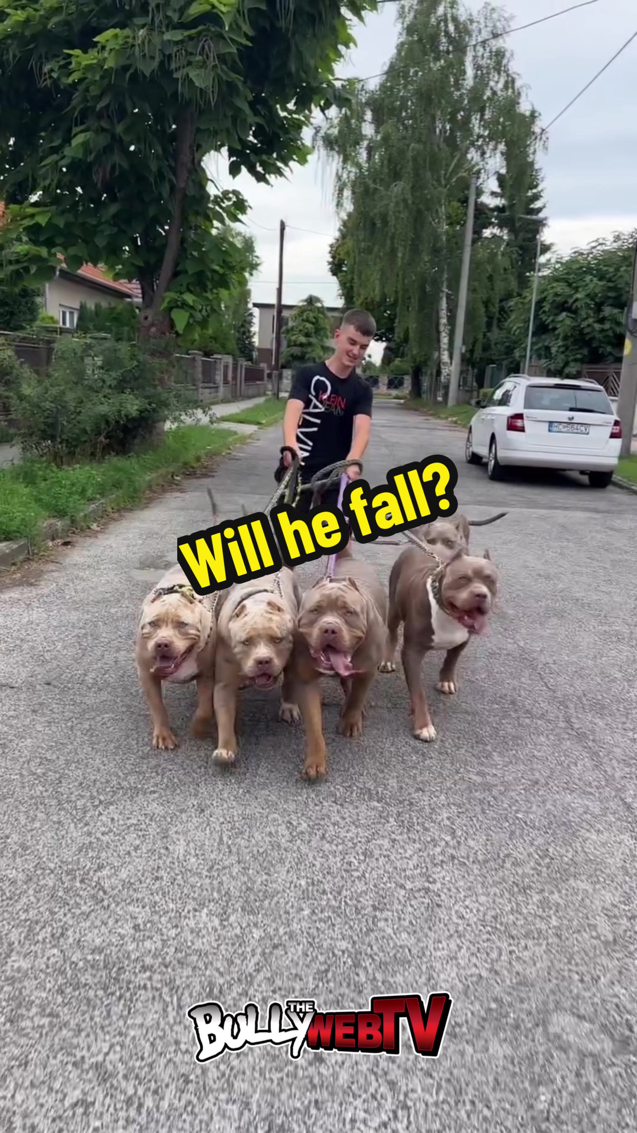 @Official_BullyWebTV